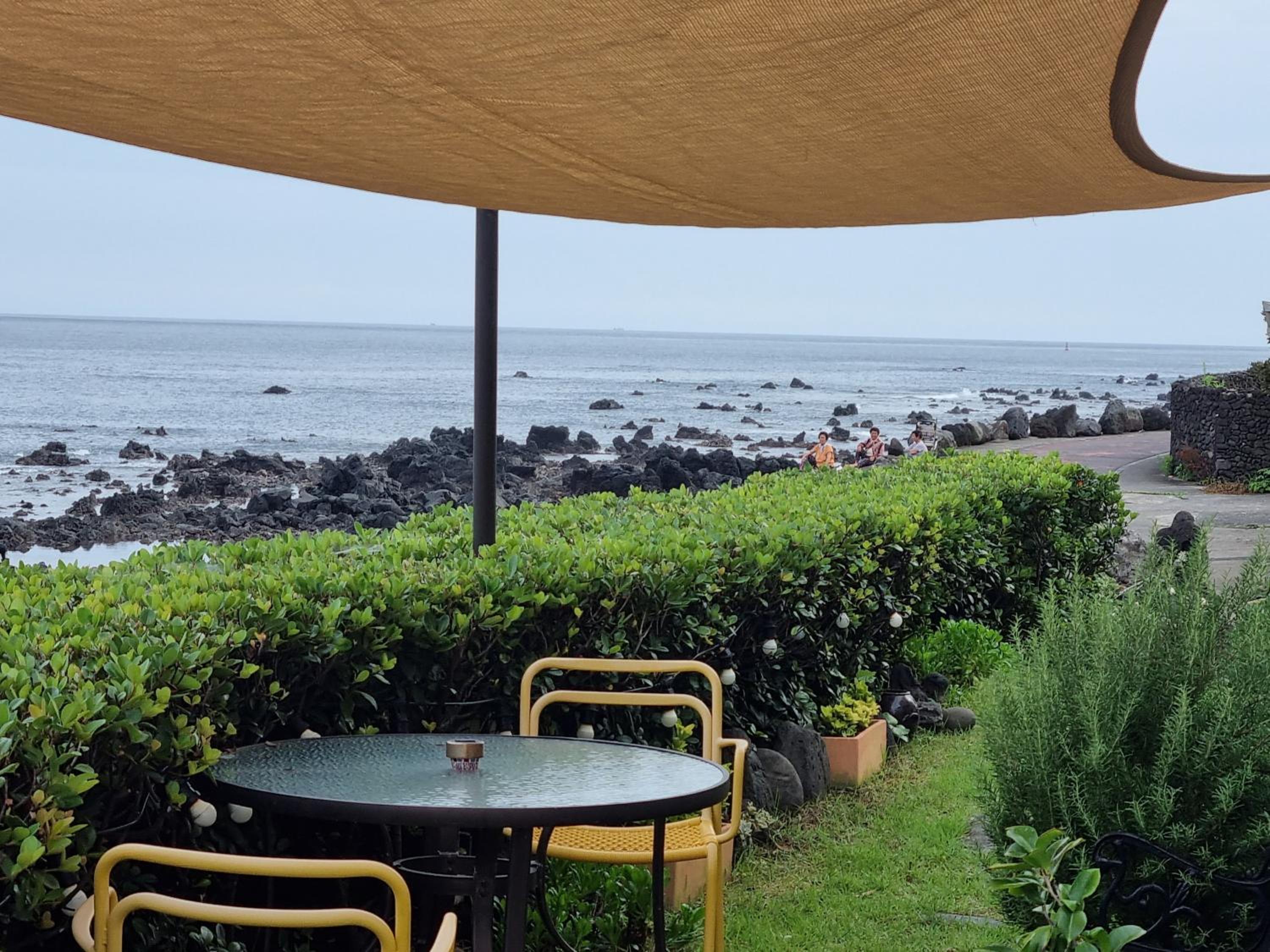 JEJU Amoje