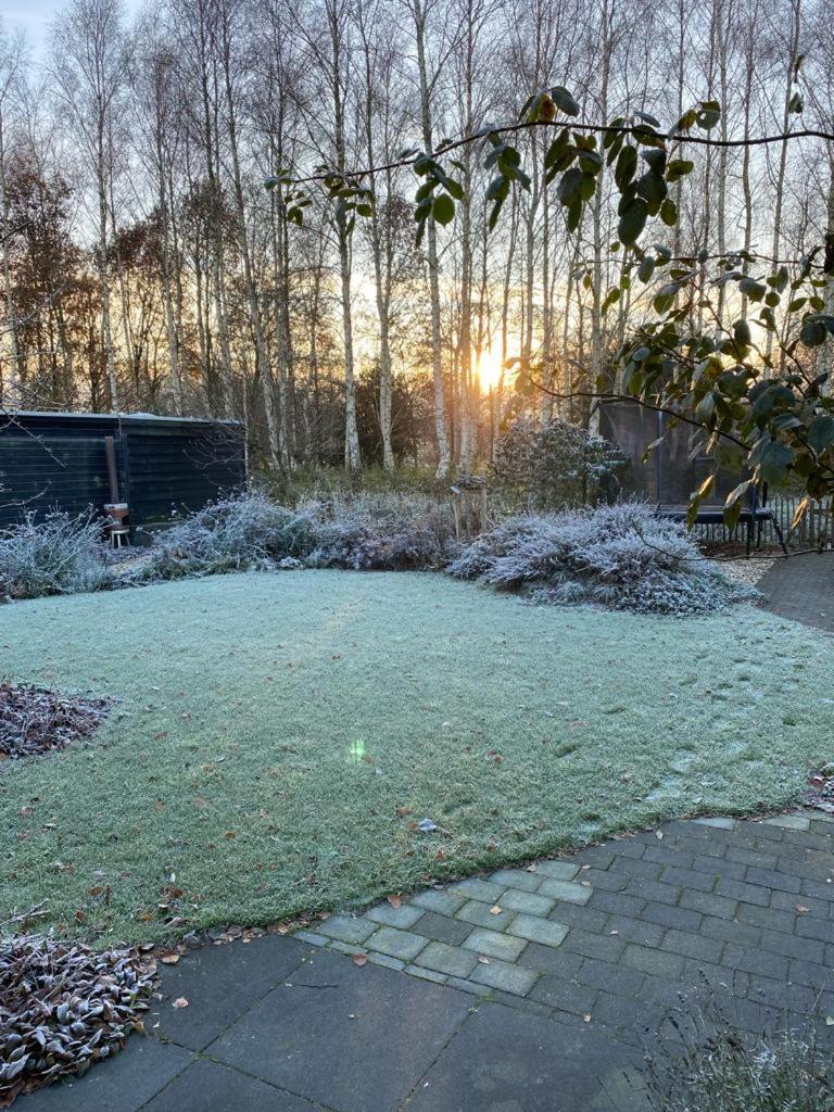 Noflik Heerenveen