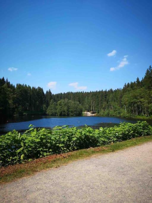 Ferienhaus in Schönheide im schönen Erzgebirge