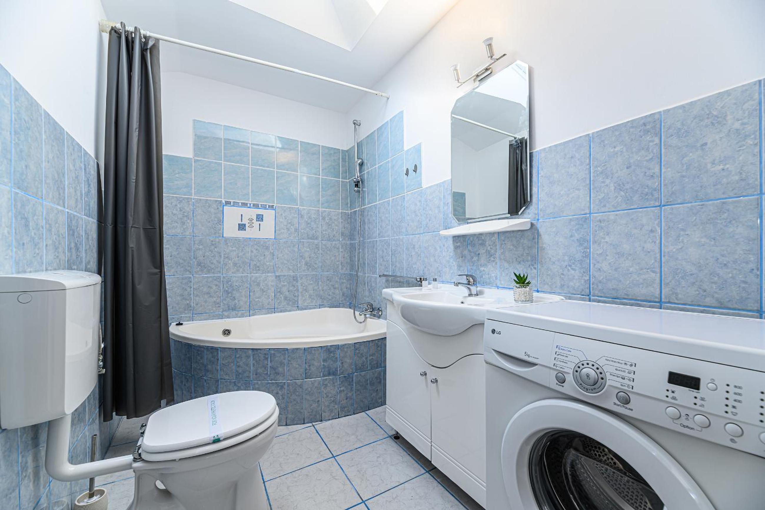 Elite Neagoe Apartment view 2