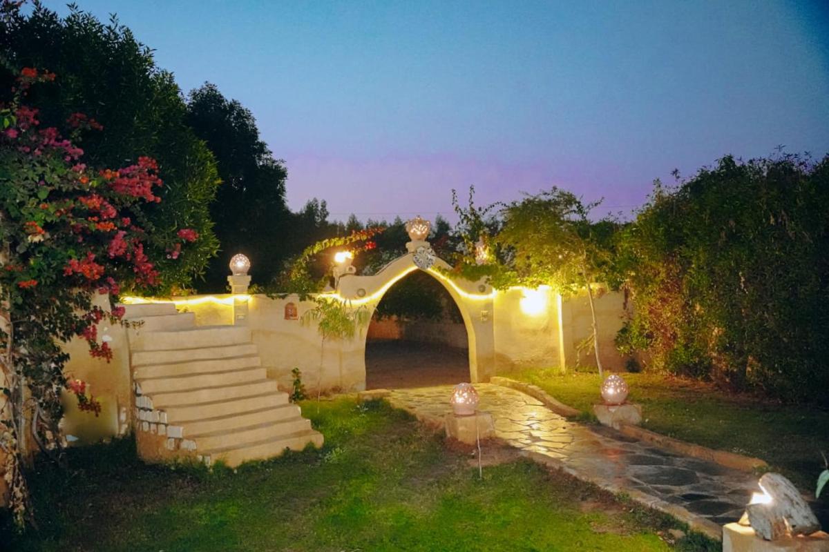 Tebtunis view 5