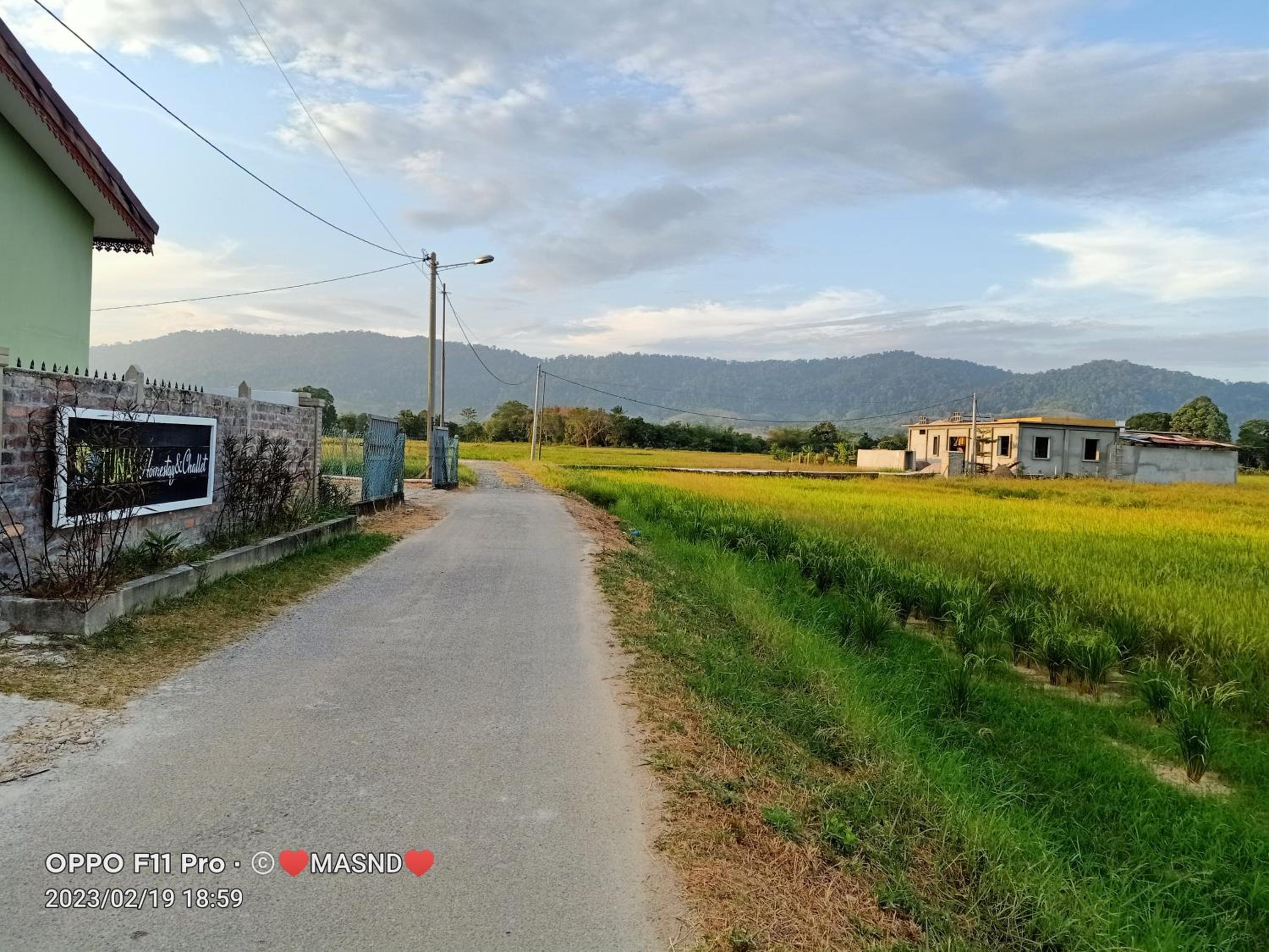 Tunas Homestay & Chalet photo 7