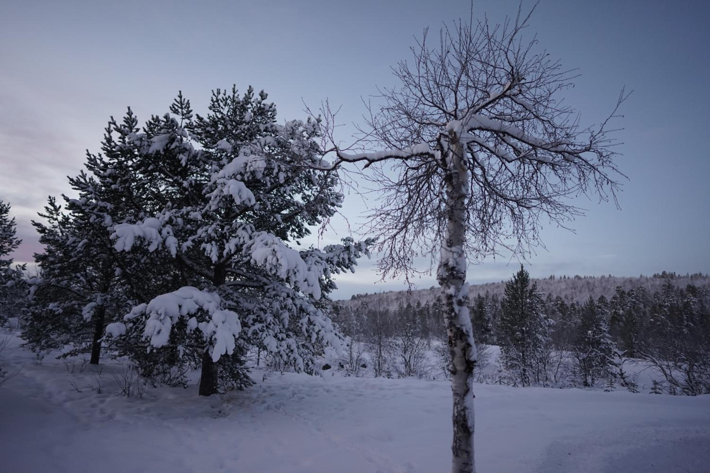 Muotkan Ruoktu Tunturikyla