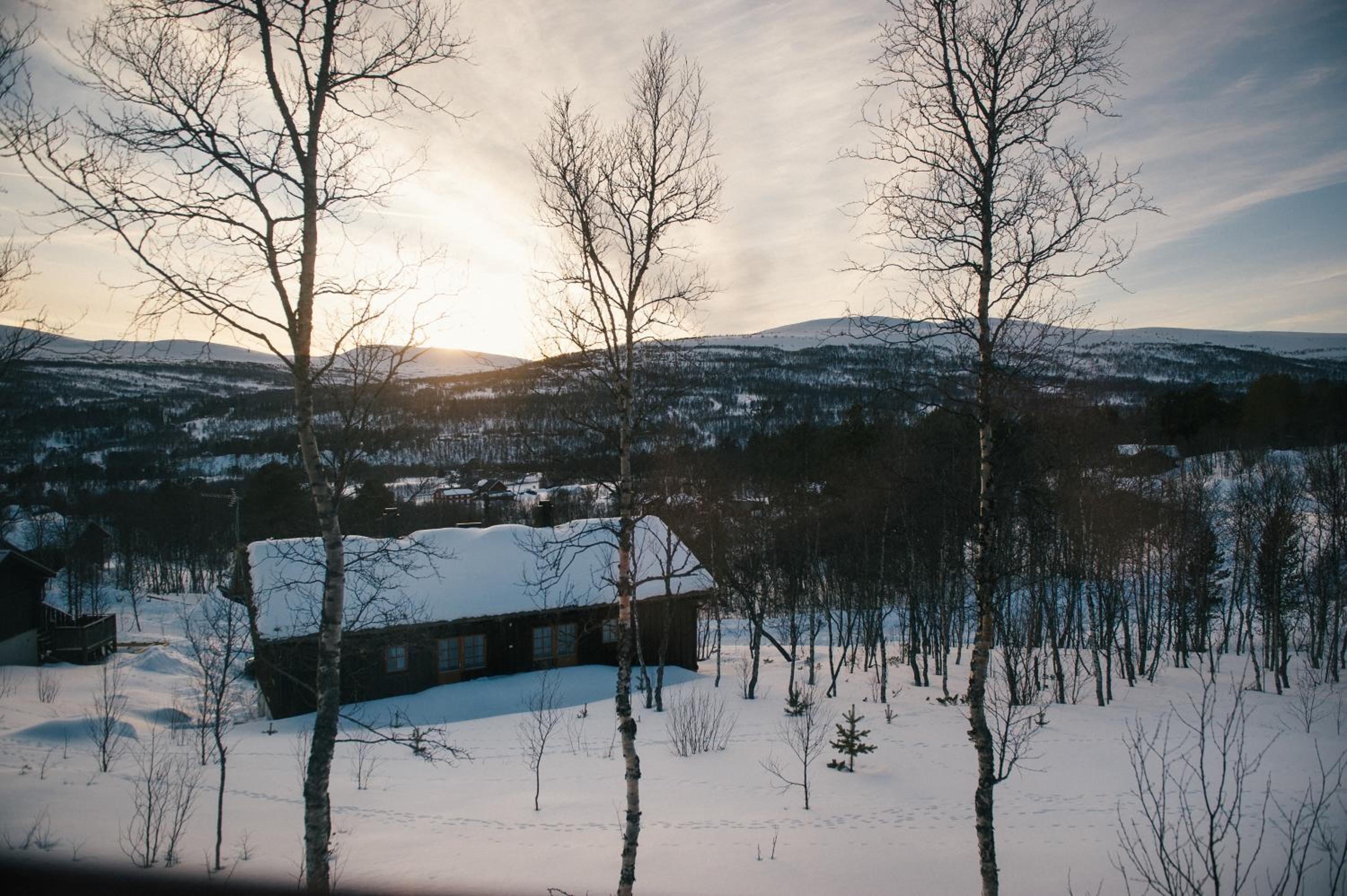 Fjällfrid stugby