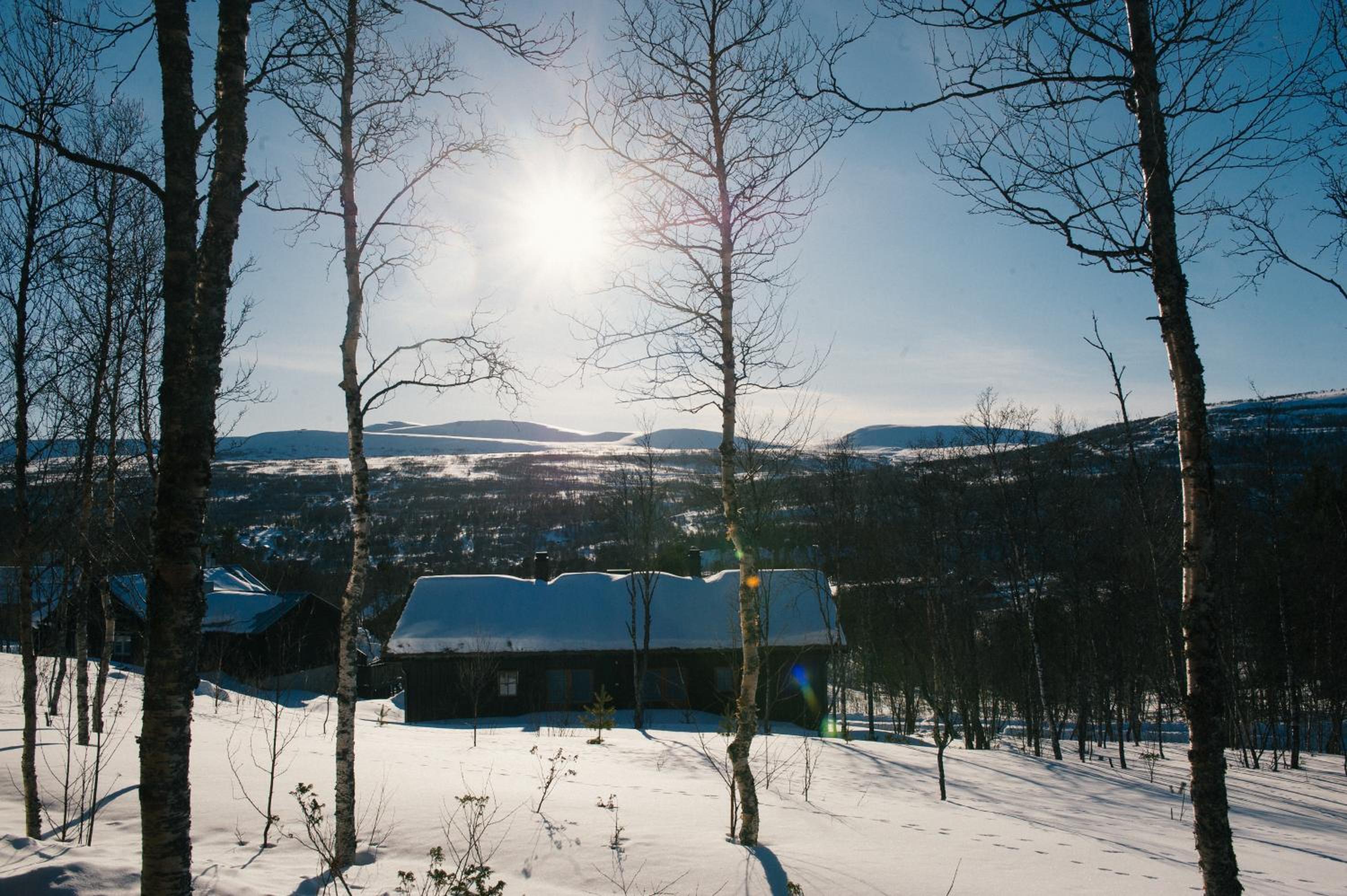 Fjällfrid stugby