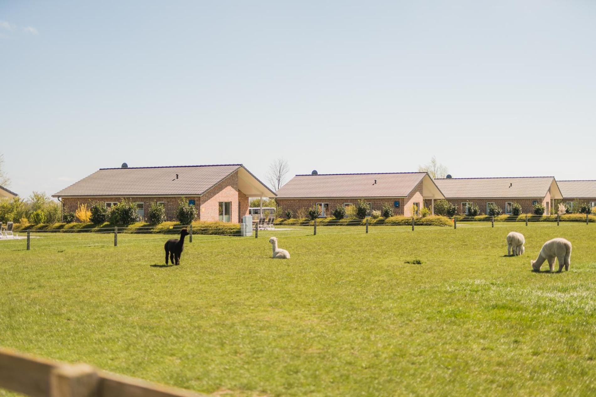 Büdlfarm - Der Familien-Erlebnishof in Strandnähe