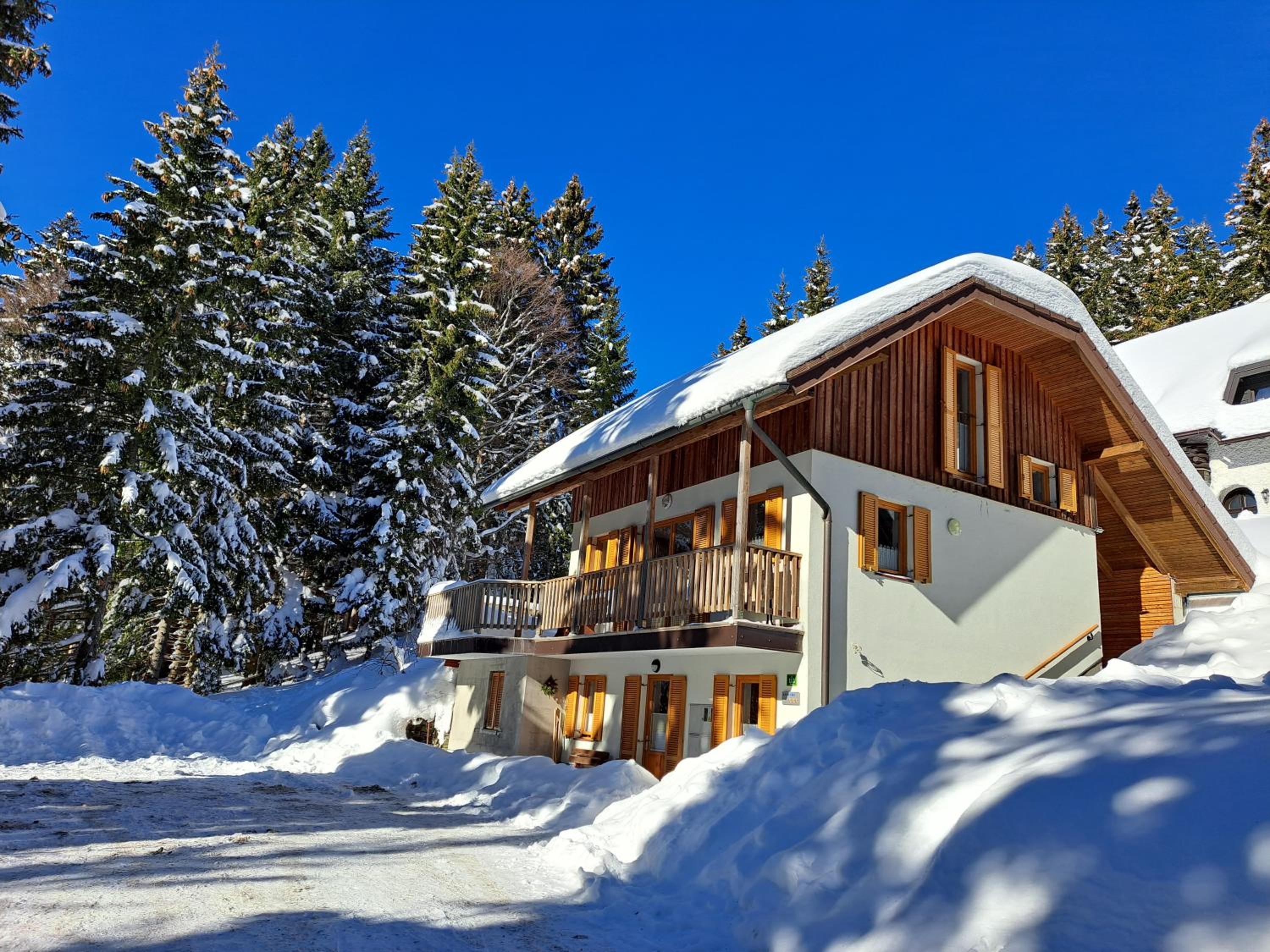 Chalet Harmony Rogla - apartment view 2