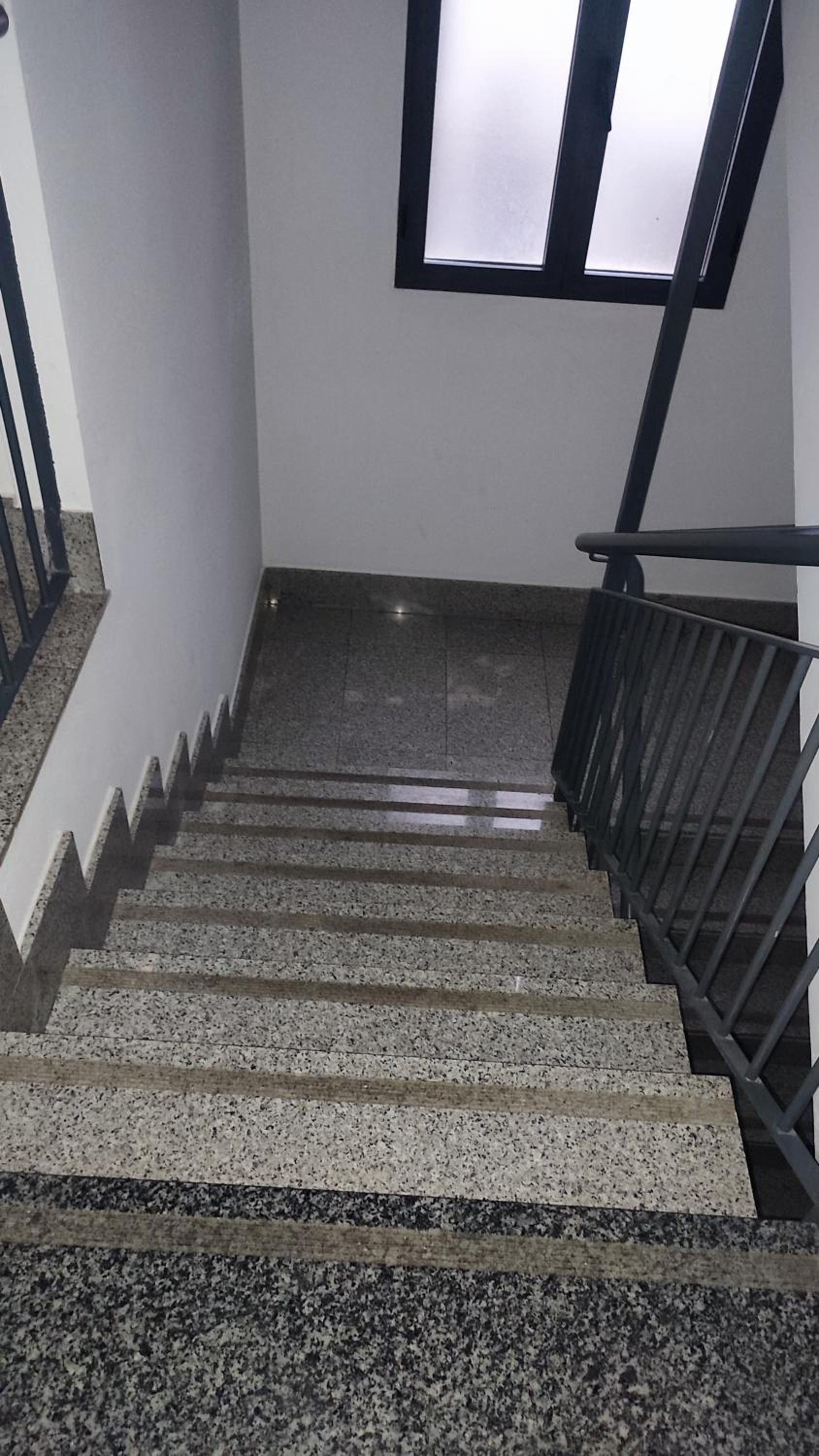 Estudio Paloma