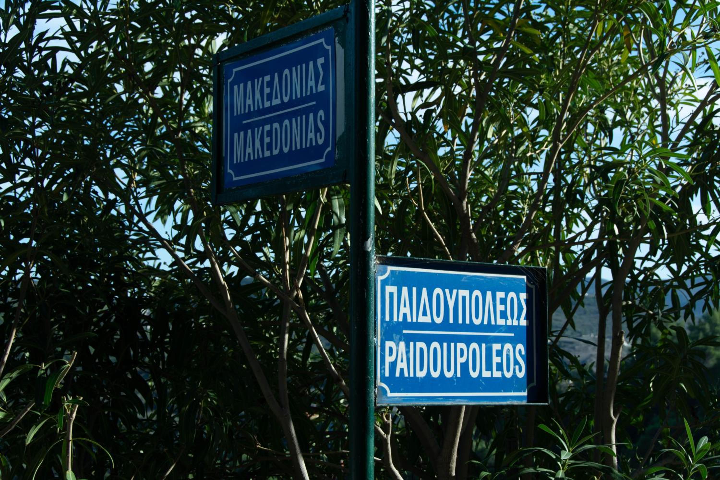Photo 43