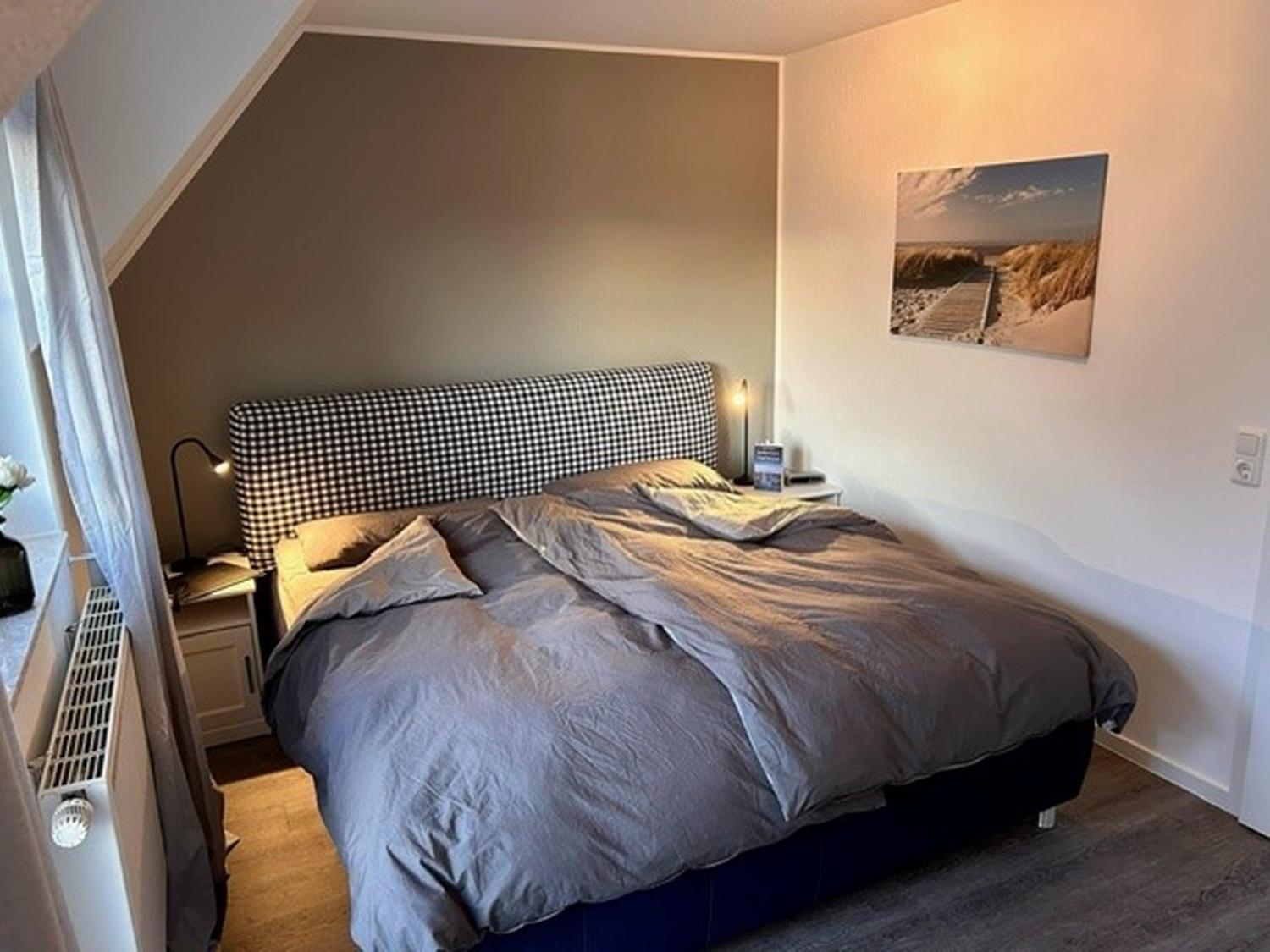 50126 Haus Deichrose