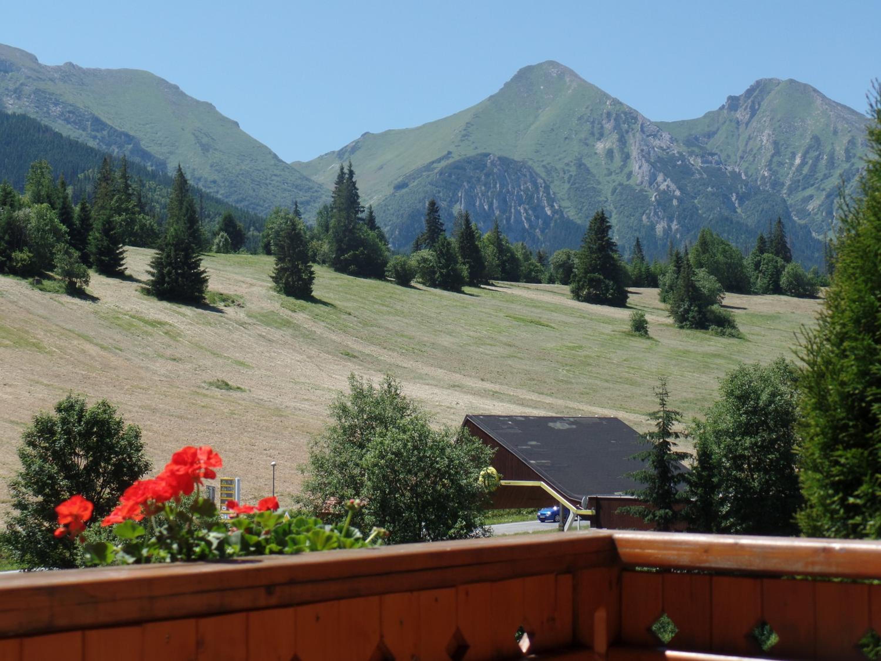 Photo 44