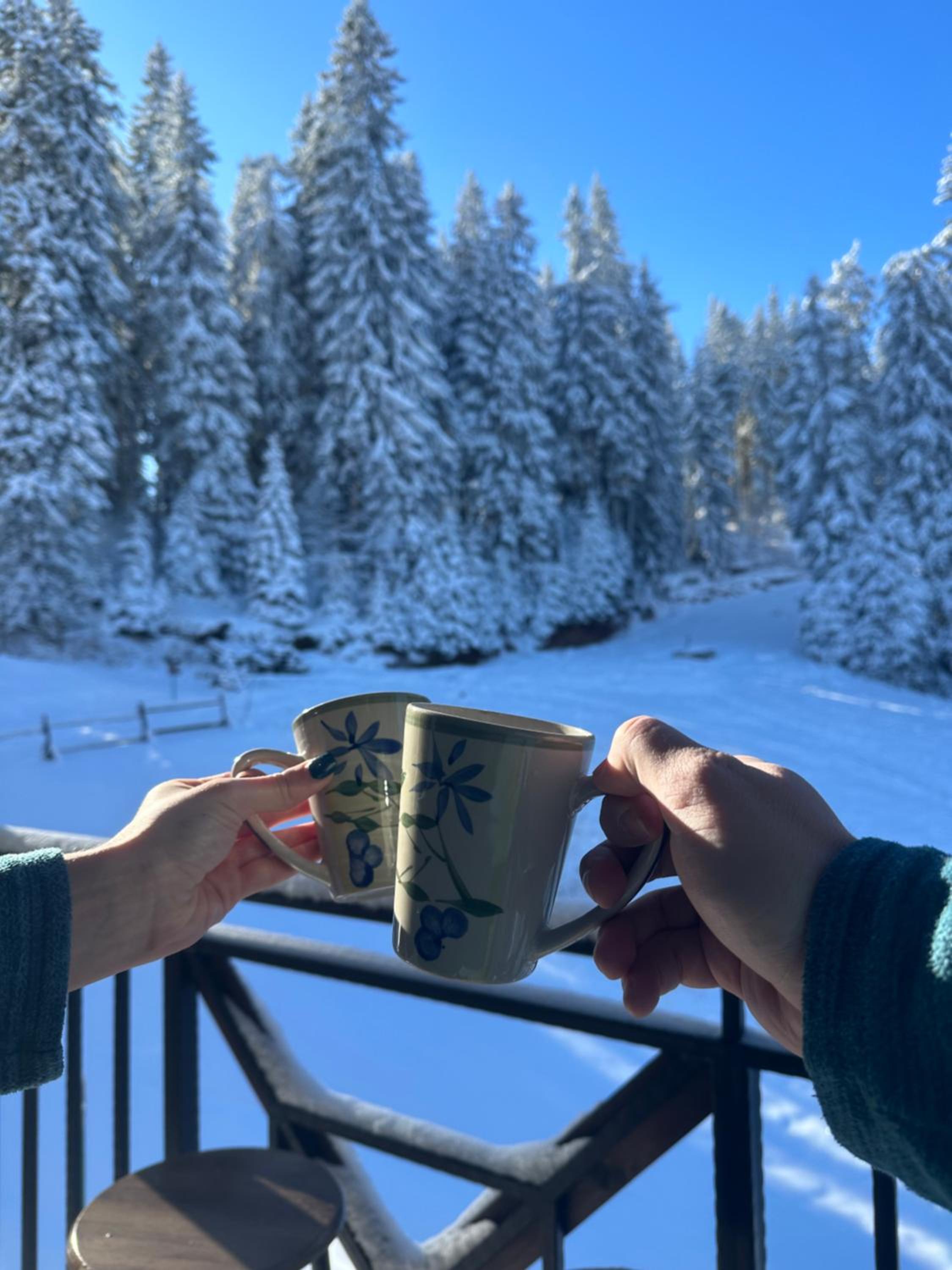 Castle Romance - Pamporovo