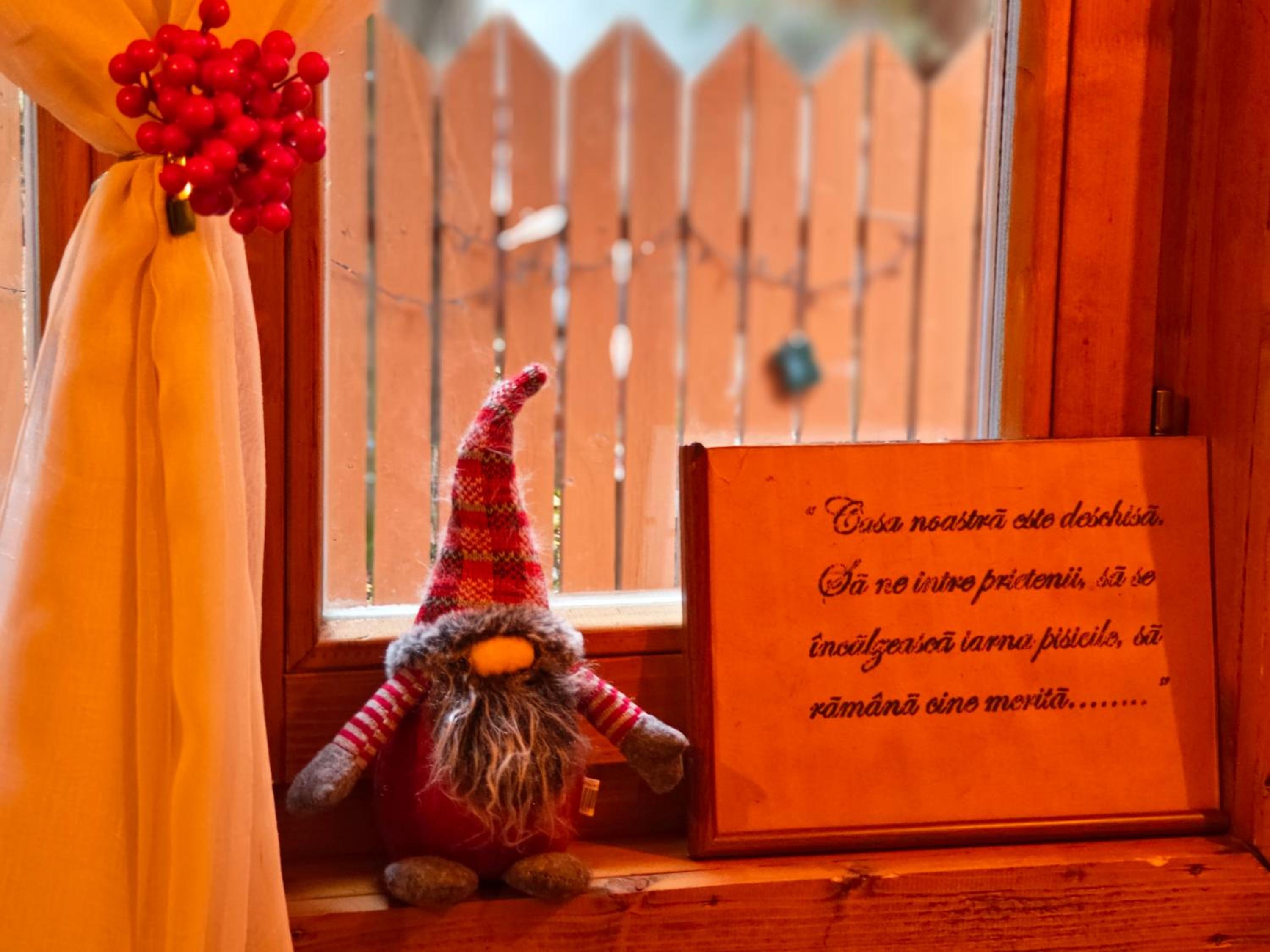 Tiny Wooden Cottage -Covasna view 2