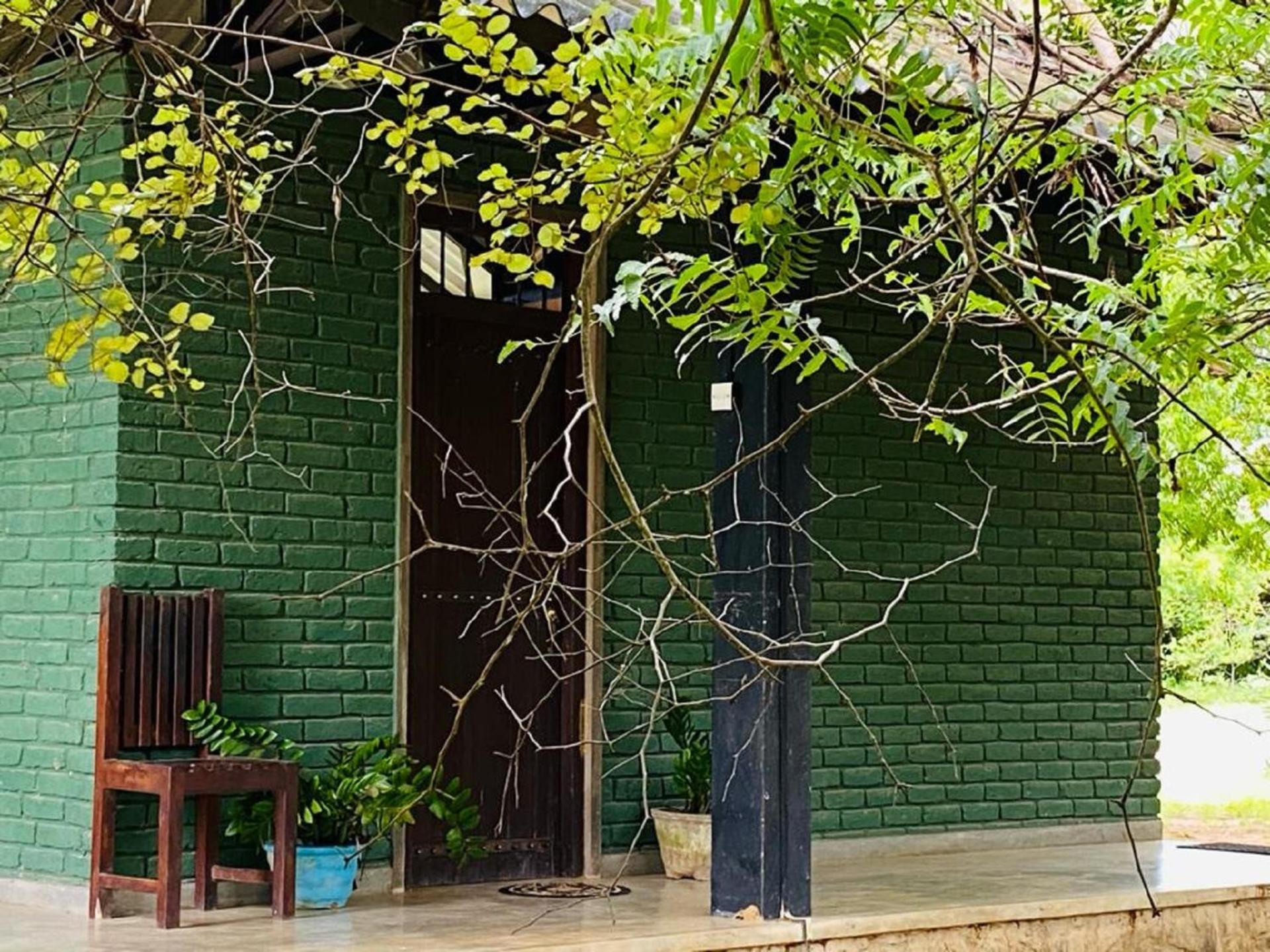 Yala Ying Yang Hostel & Camping view 5