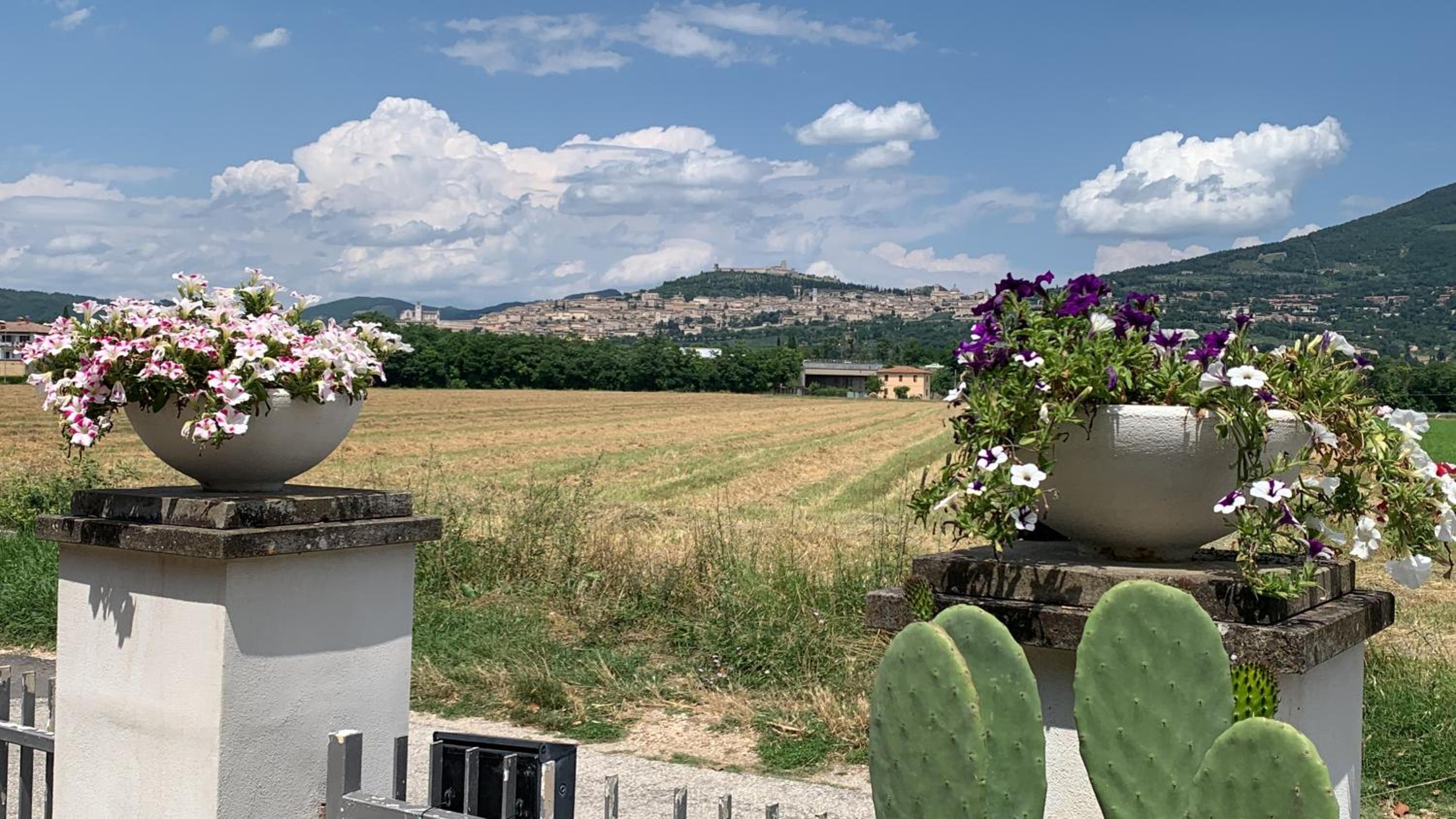 B&B Panorama d'Assisi view 4