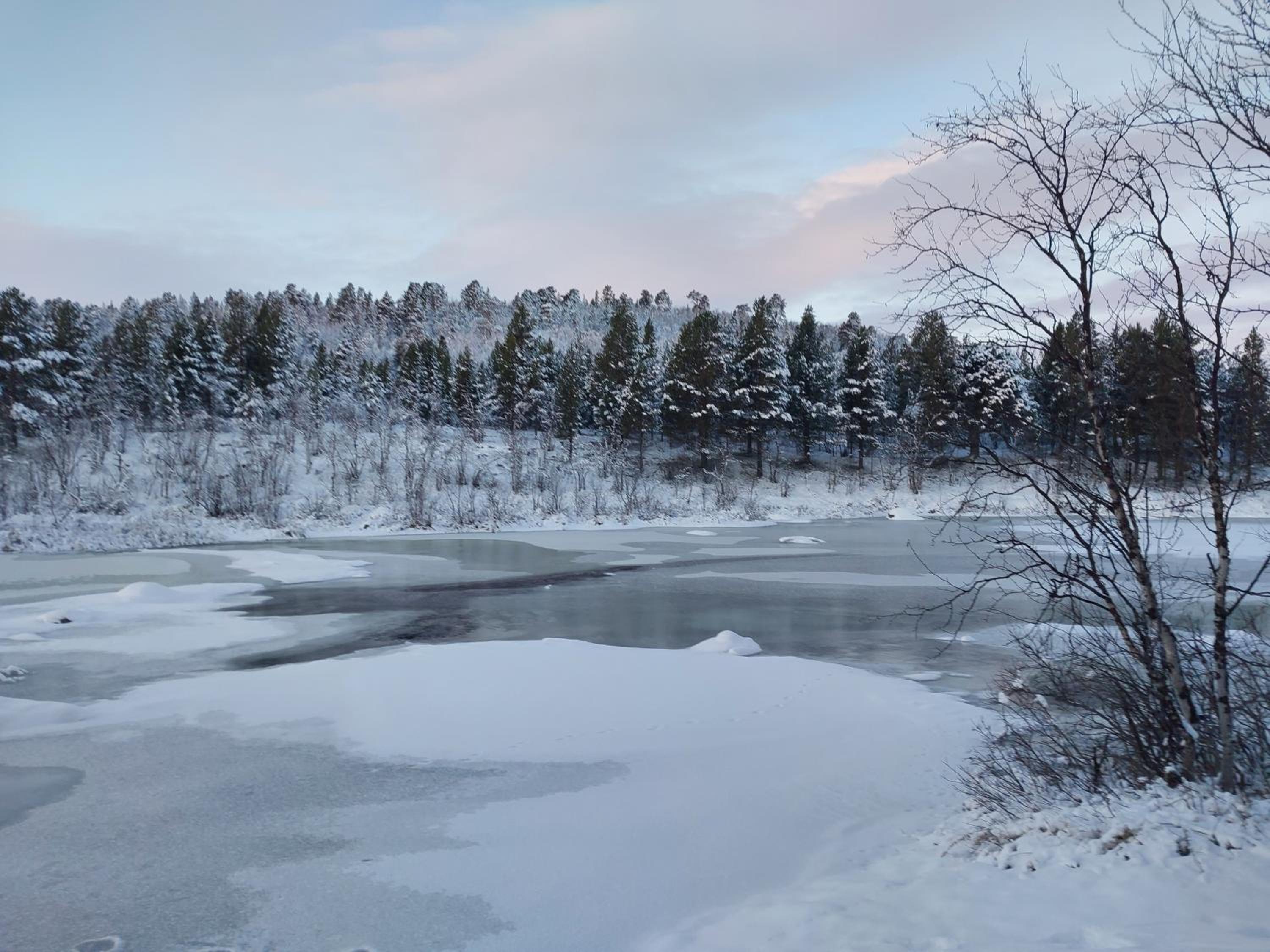 Muotkan Ruoktu Tunturikyla