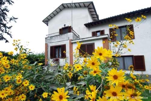 Stella Polare B&B view 3