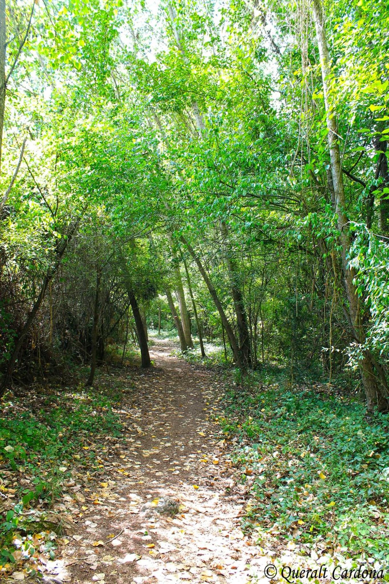 La Porteria