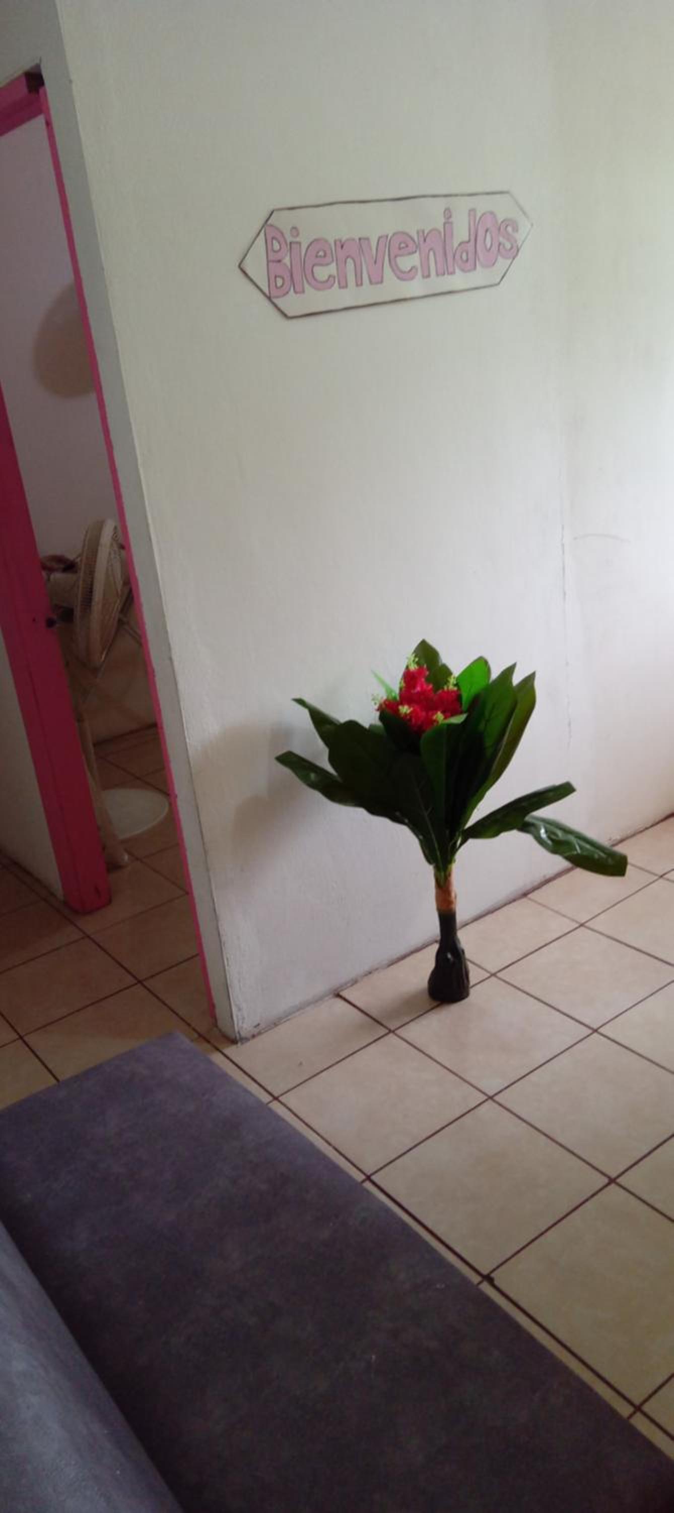 Apartamentos HJJ