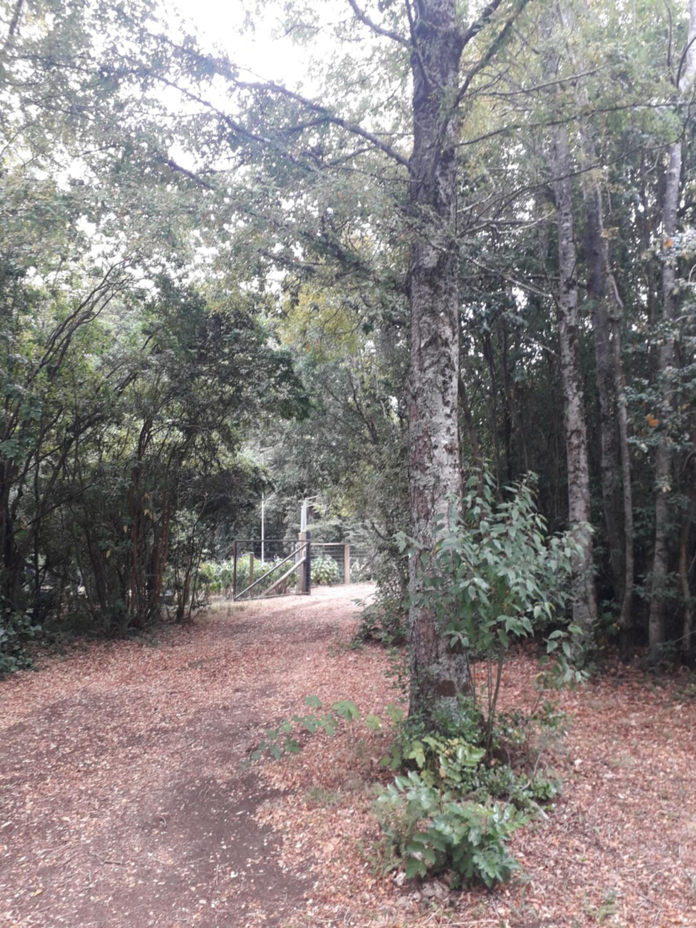 Cabaña de Montaña sector aeropuerto Pucón