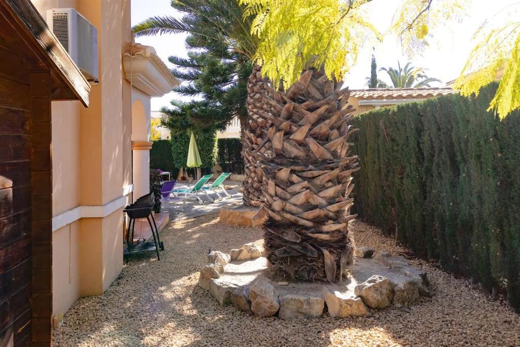 Photo 25