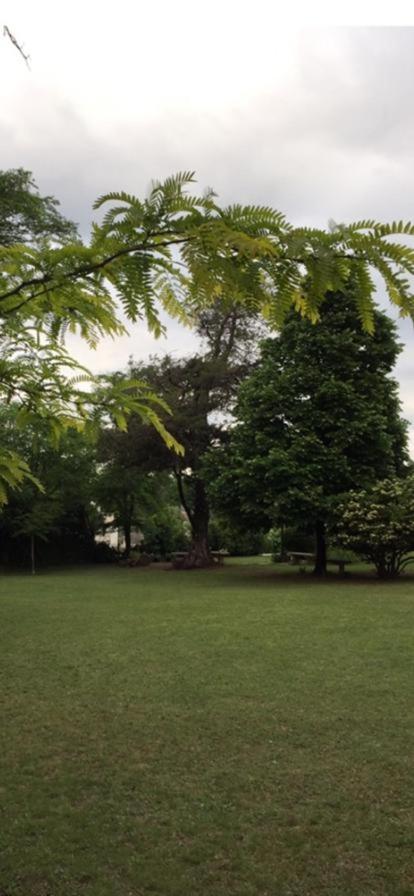 Casa de Campo - Don Bosco