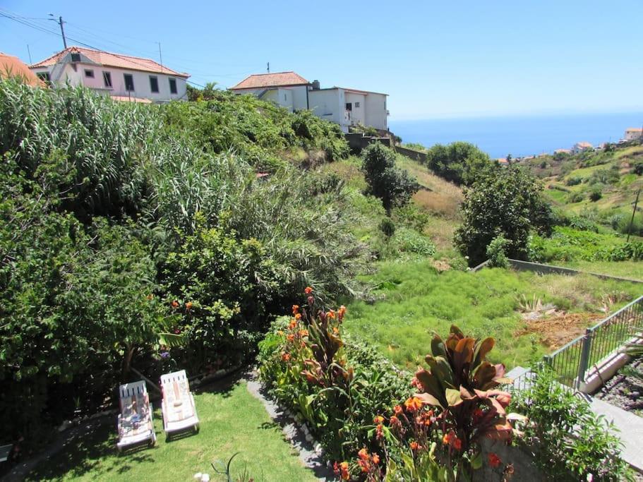 Casa da Fonte dos Castanheiros view 5
