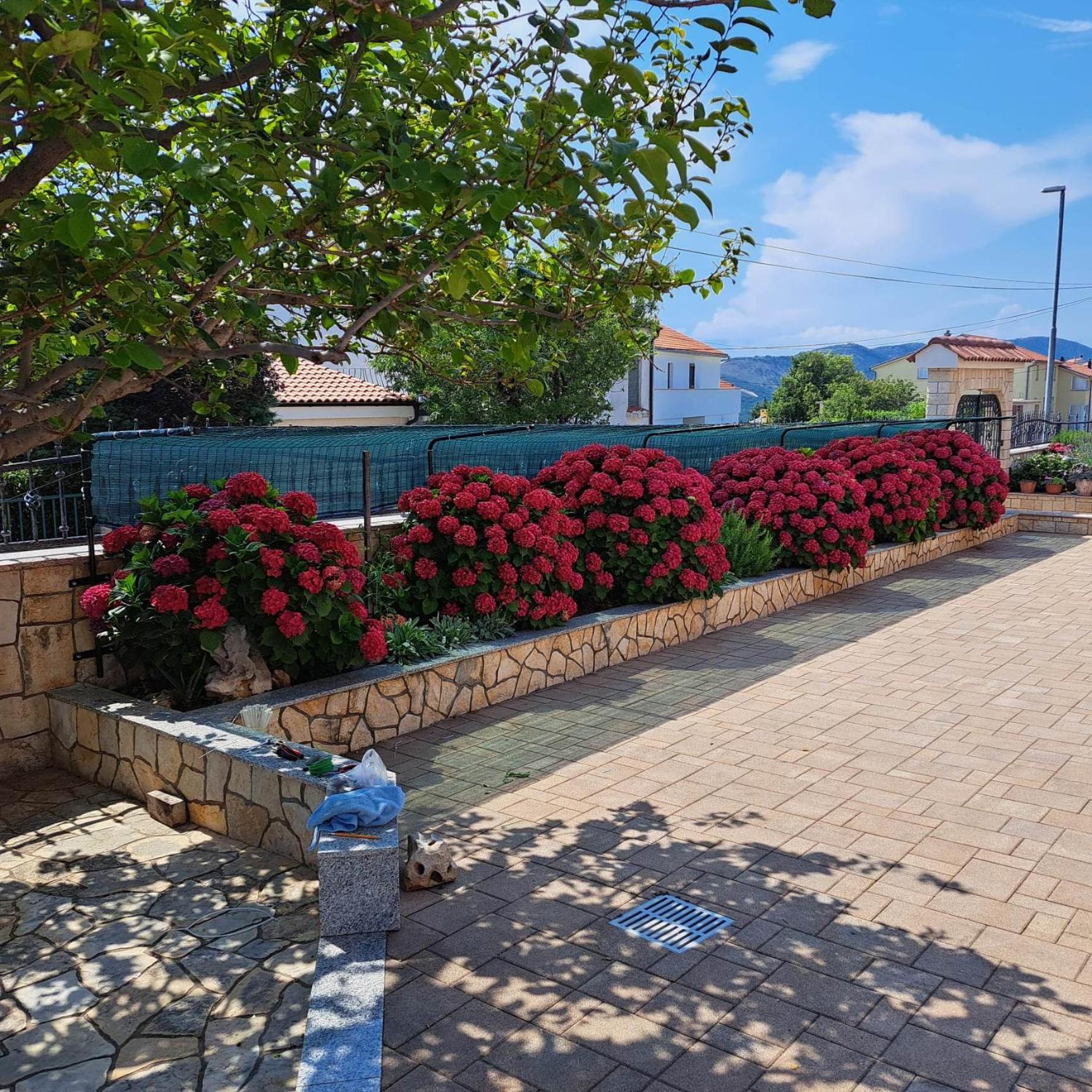 Villa Lily