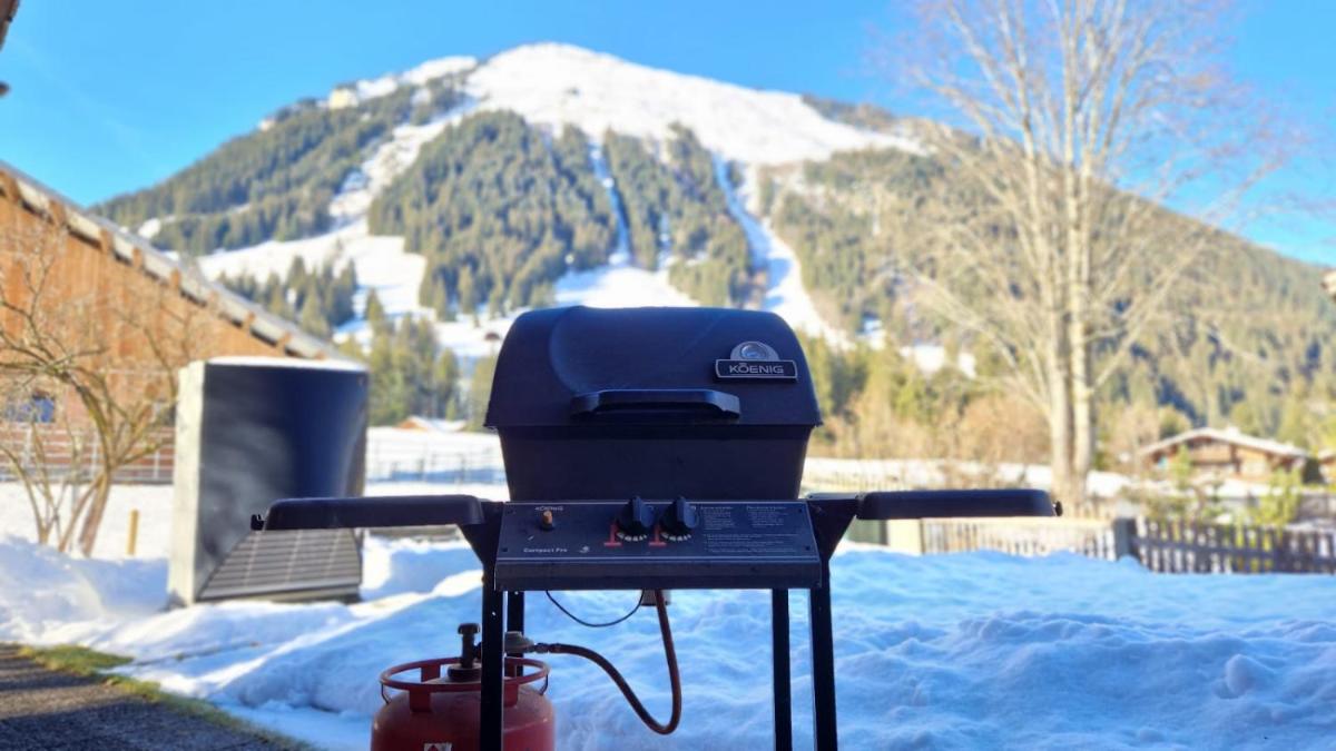 Chalet Diablerets