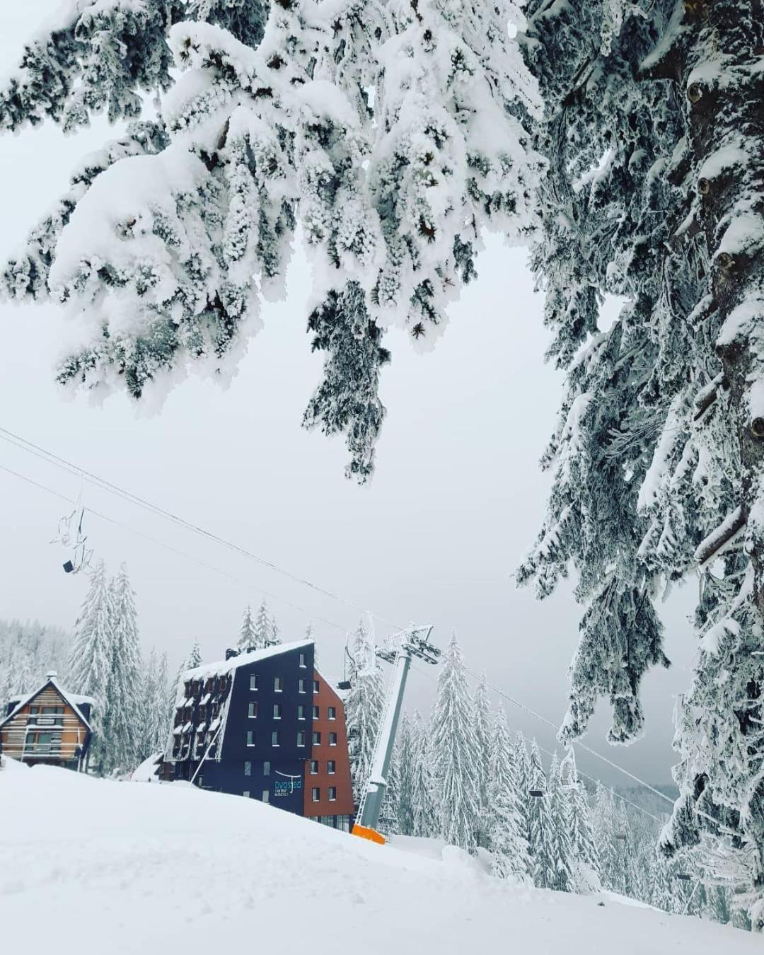 Apartmani Dvosjed