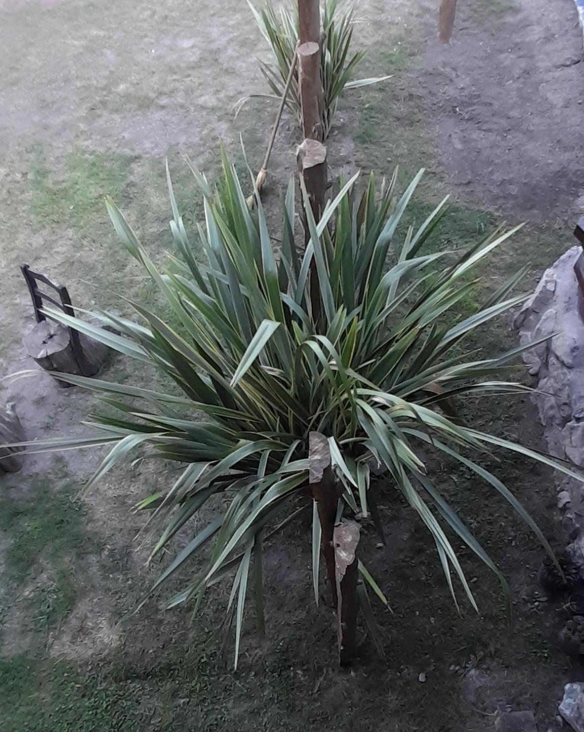 La Secreta