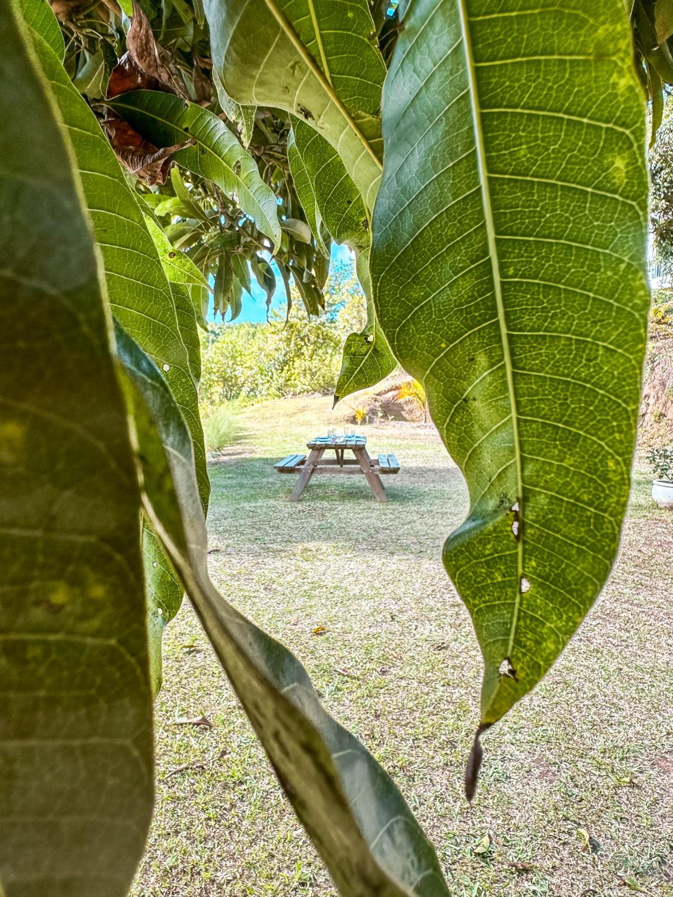La villa detente 1 - une experience authentique