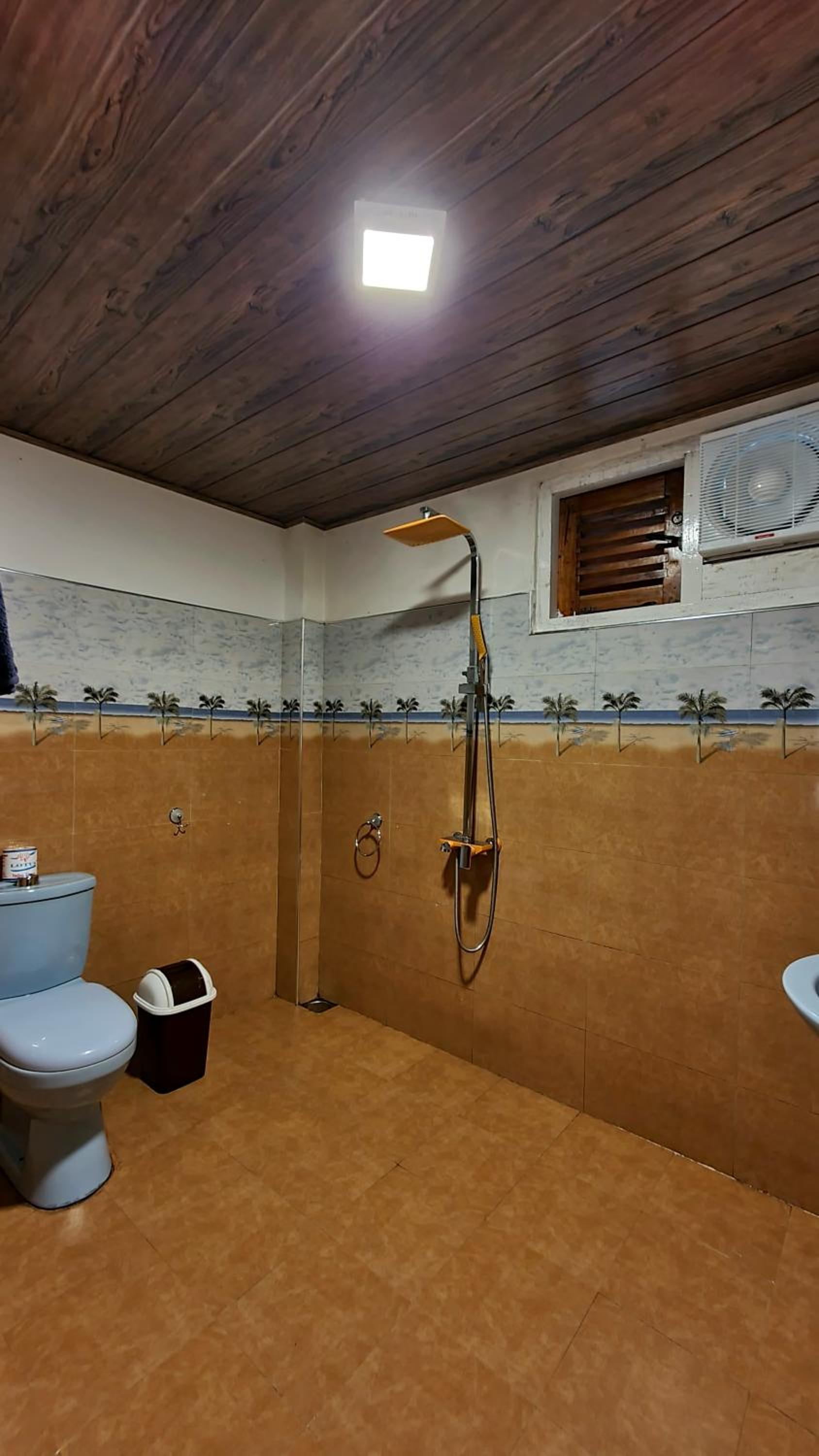 Photo 50