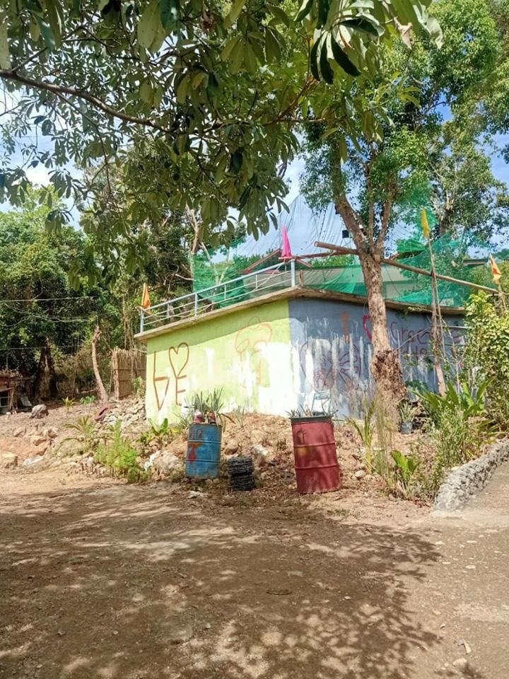 HOME of ELLAI