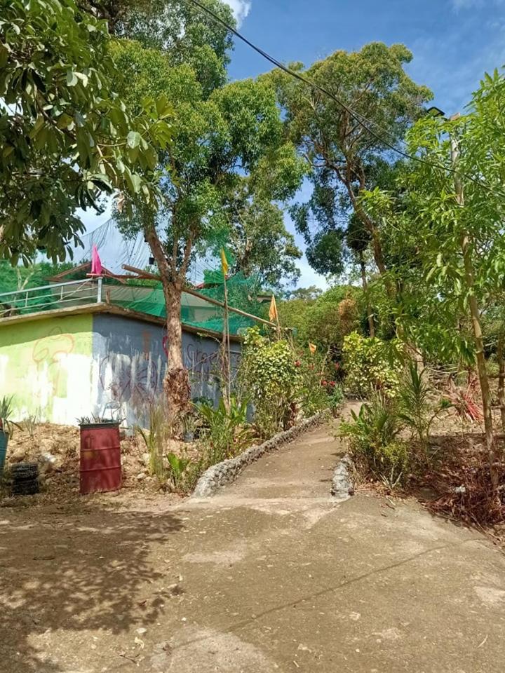 HOME of ELLAI