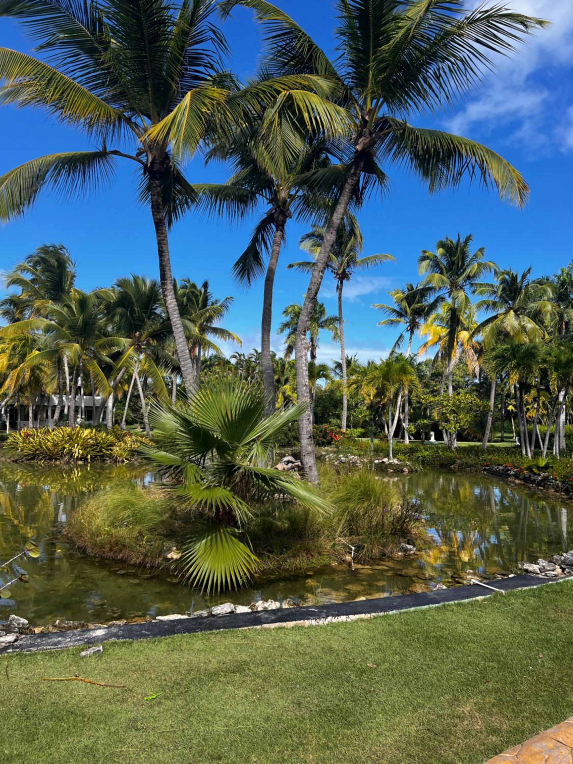 Cocotal Luxury apartment on the Golf Course