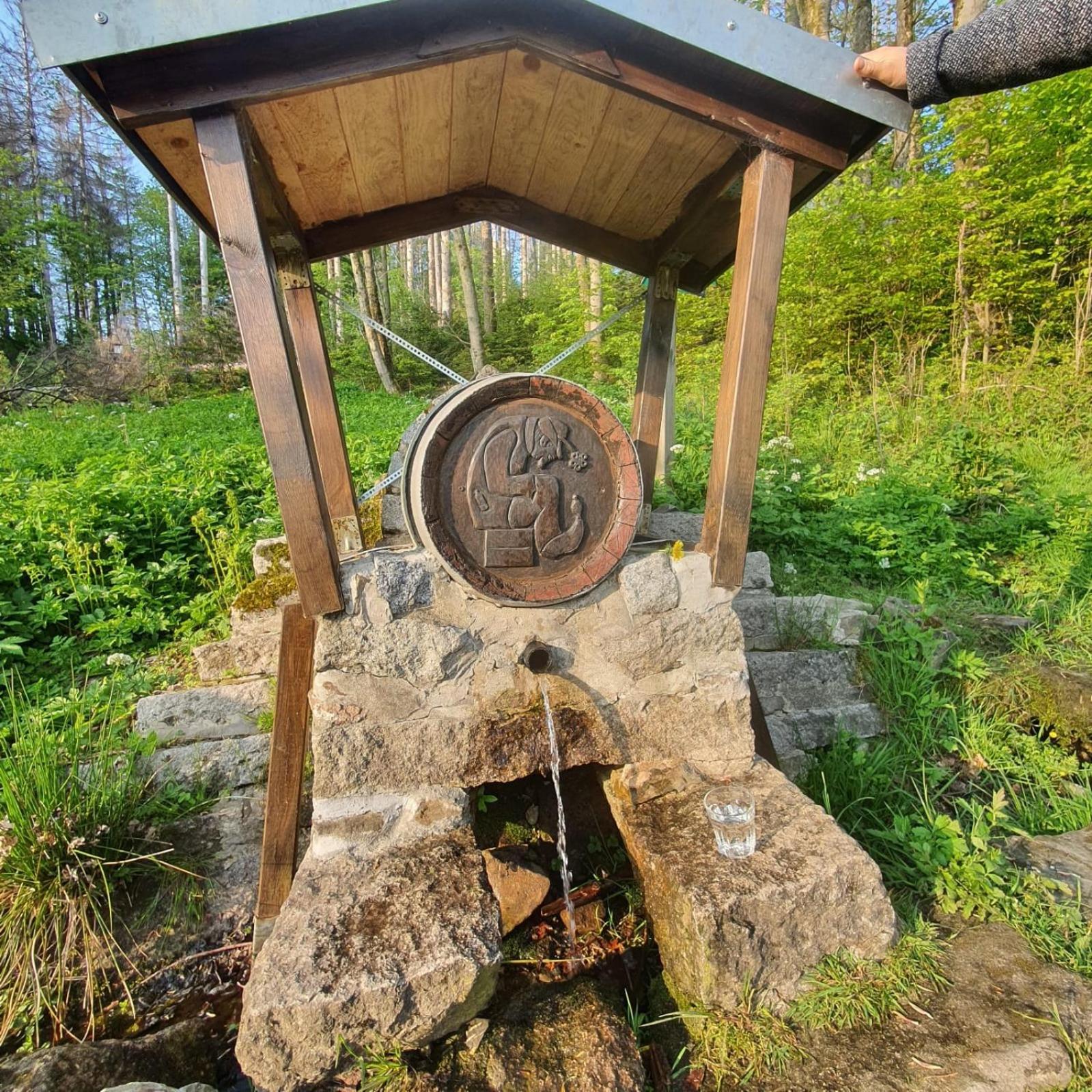 Villa im Harz - Deluxe Appartment - Frühstück, Halbpension buchbar