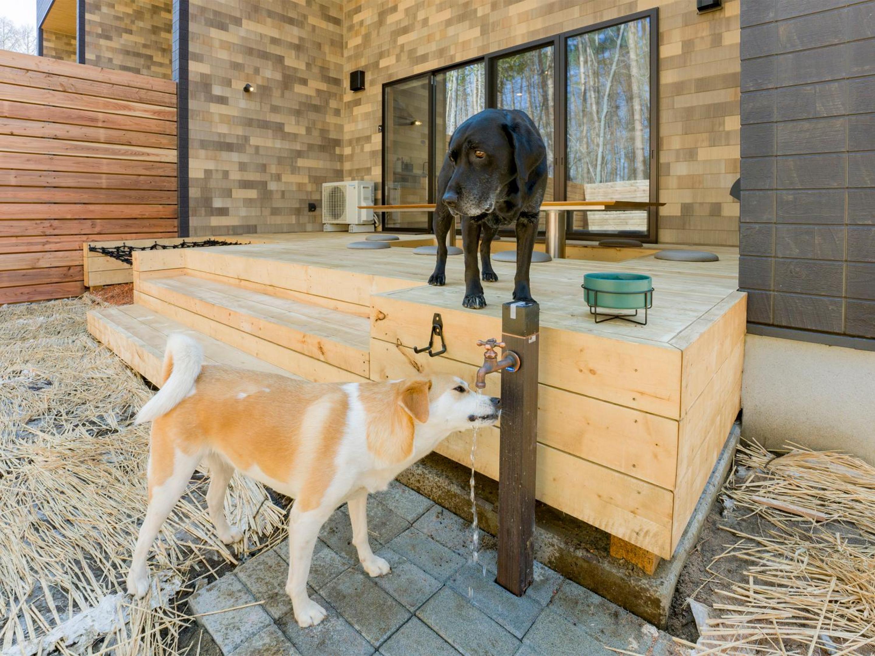 Rakuten STAY VILLA Fujikawaguchiko Forest