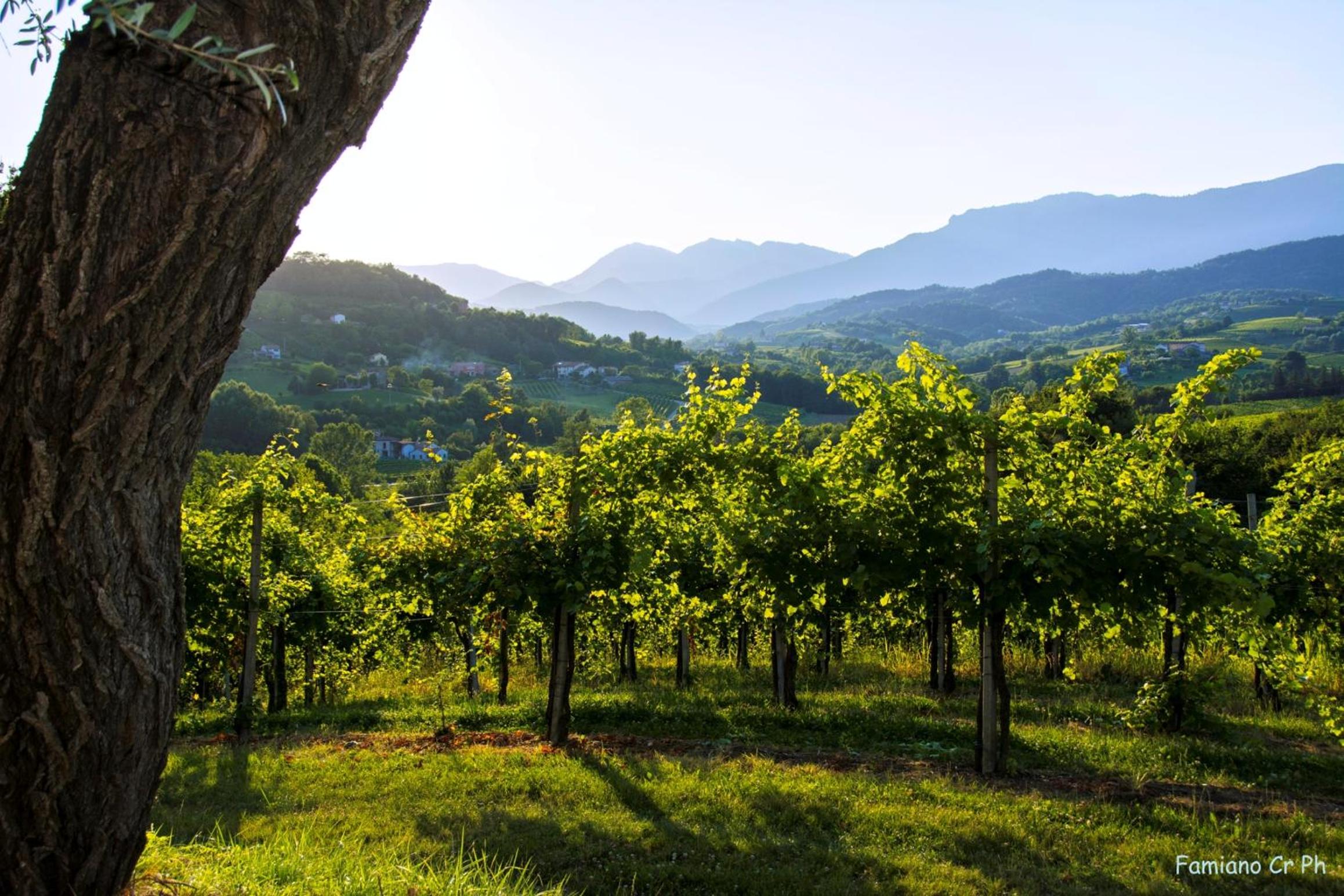 Agriturismo Le Spezie