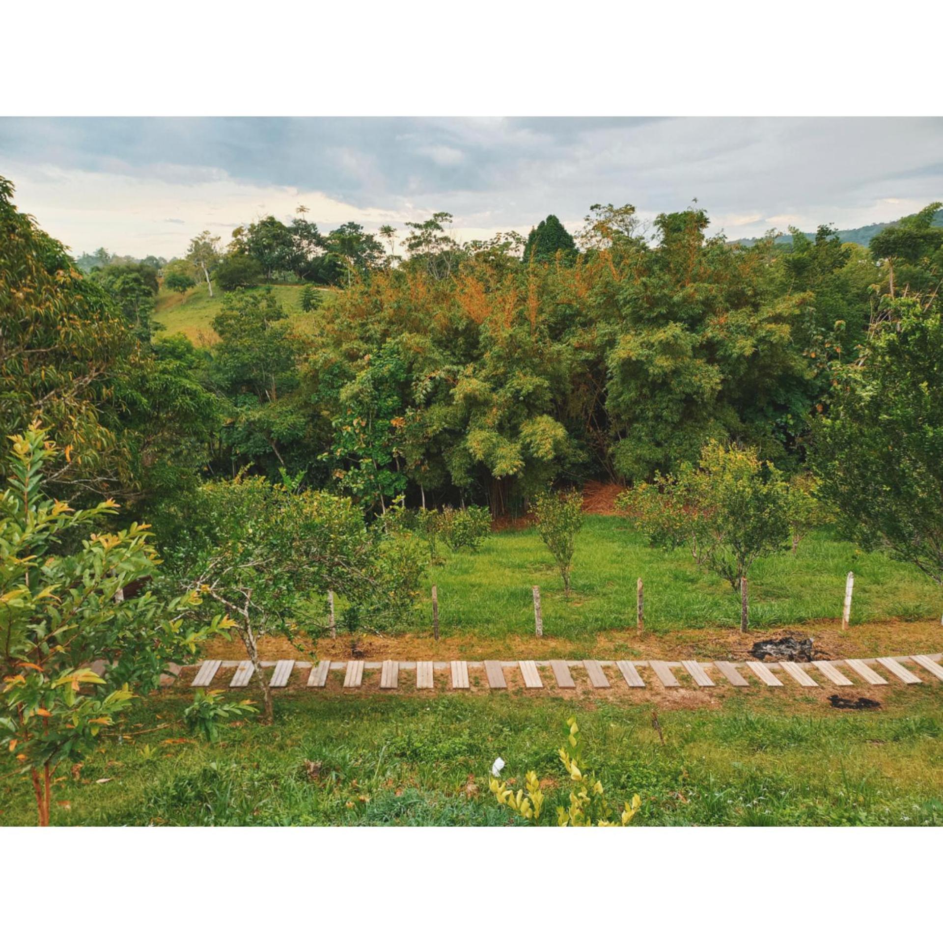 Posada Campestre en Doradal