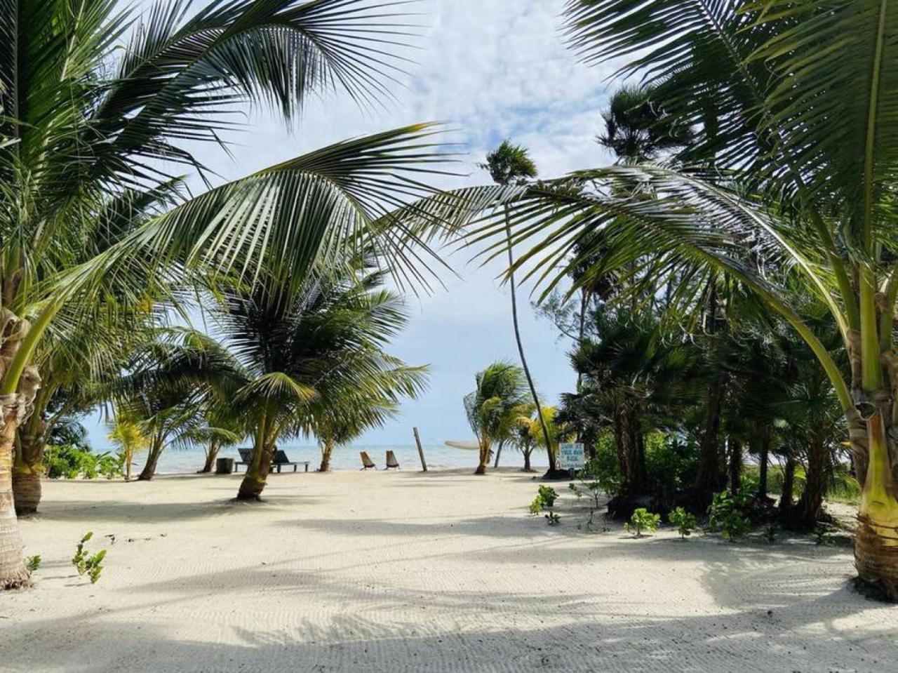La Vida Belize - Casa