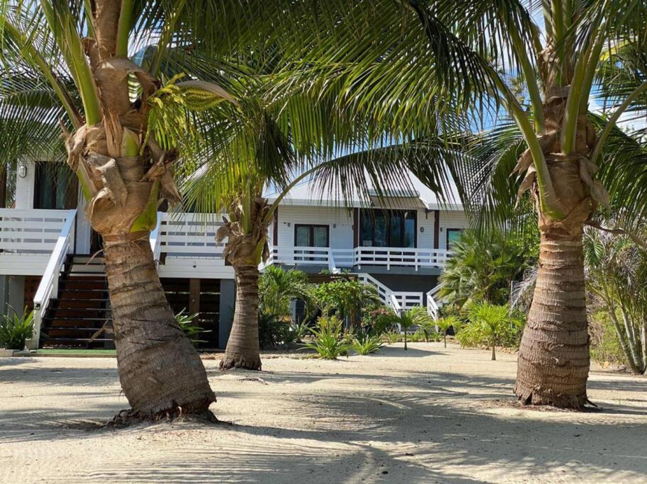 La Vida Belize - Casa