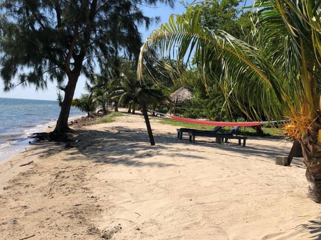 La Vida Belize - Casa
