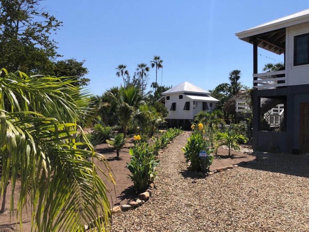 La Vida Belize - Casa