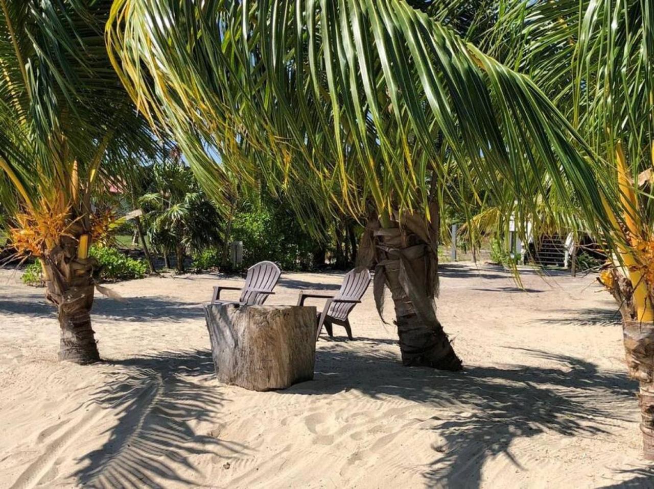 La Vida Belize - Casa