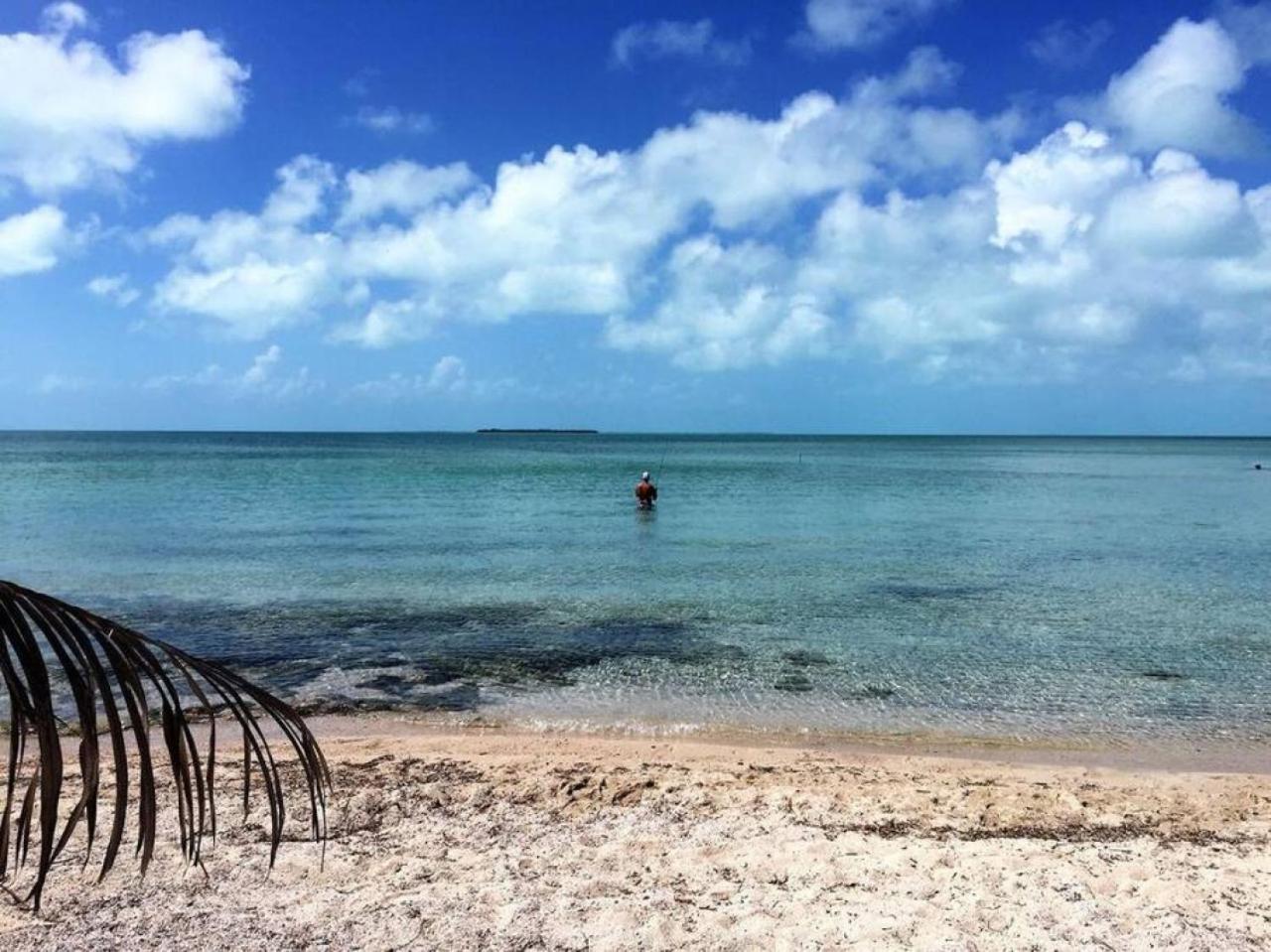 La Vida Belize - Casa