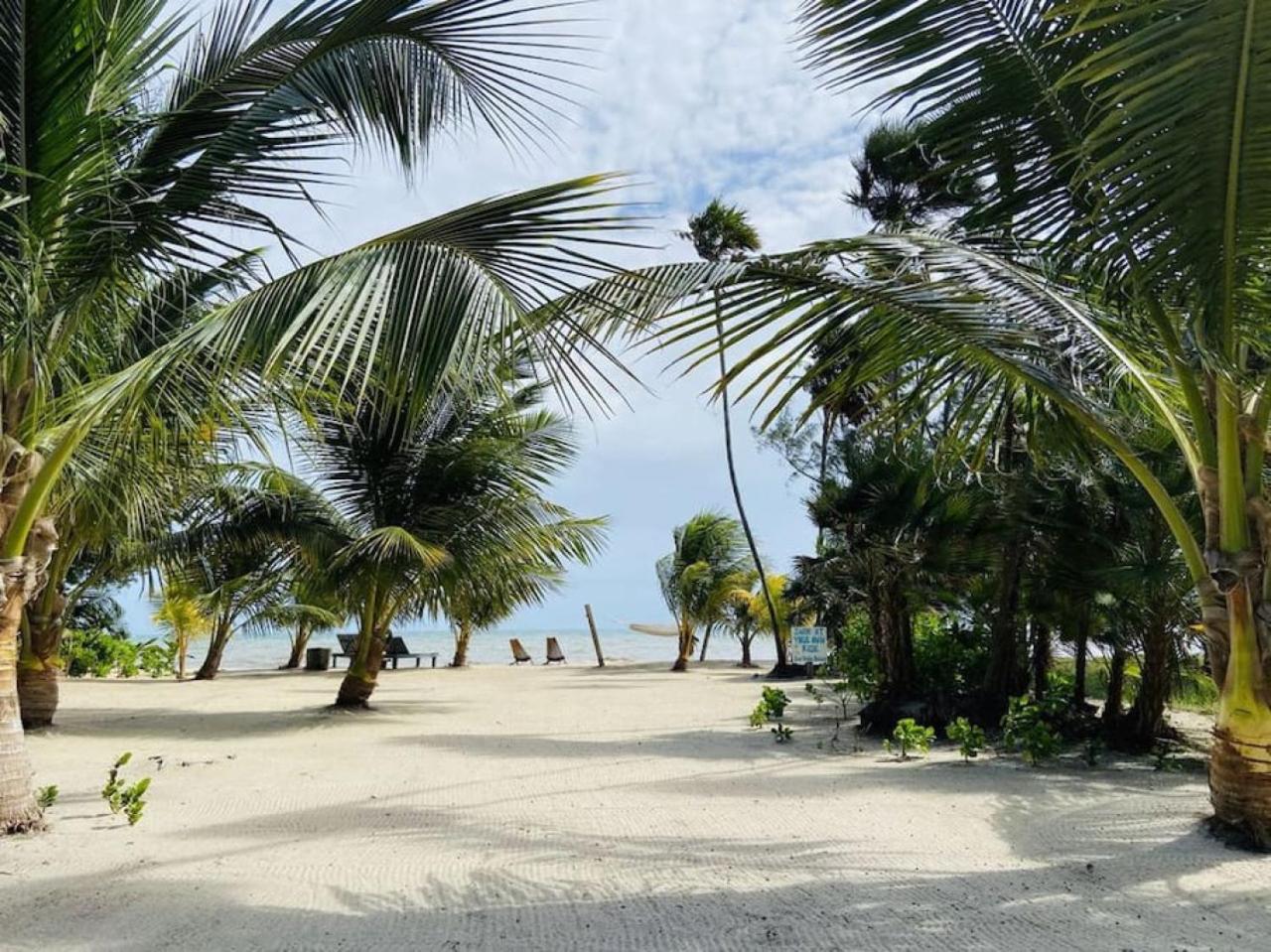 La Vida Belize - Casita
