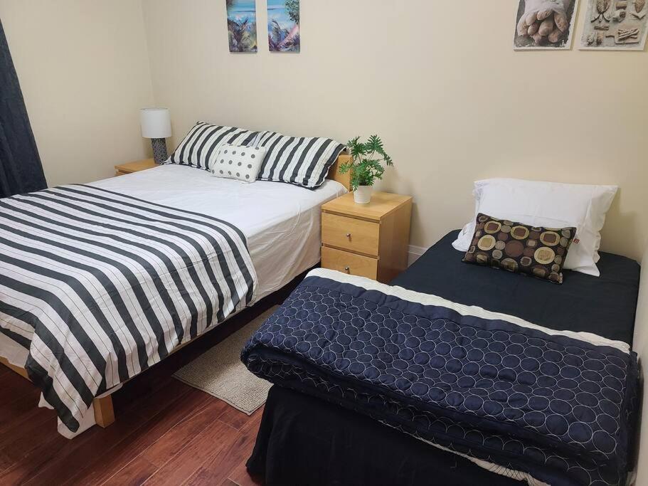 3 BR House in Toronto Downtown
