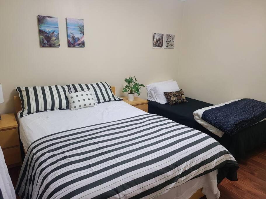 3 BR House in Toronto Downtown