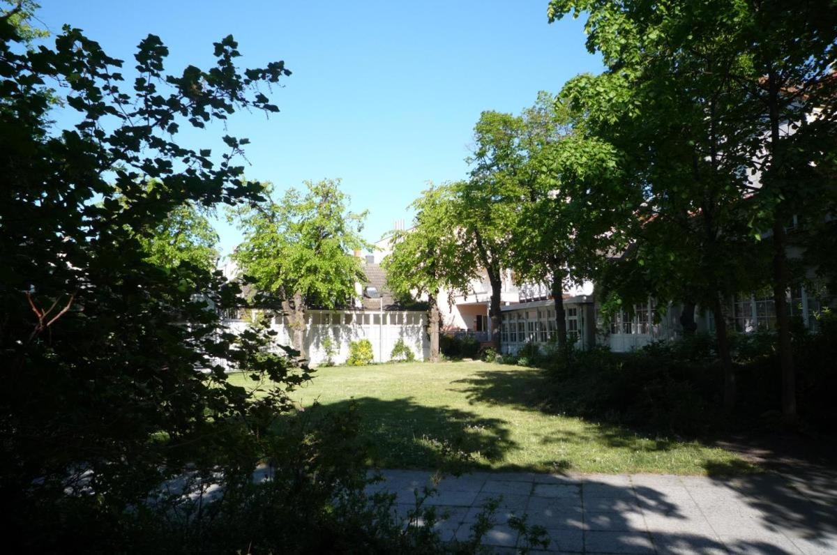Georgine view 4